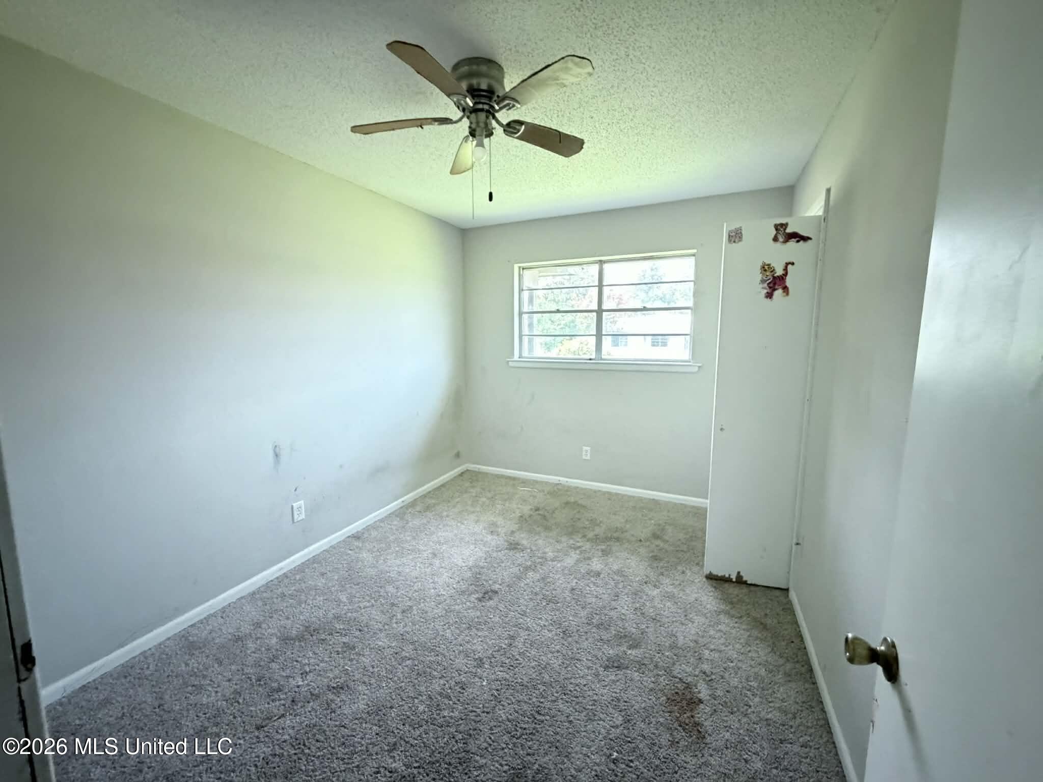 123 Sinclair Street Property Photo 8