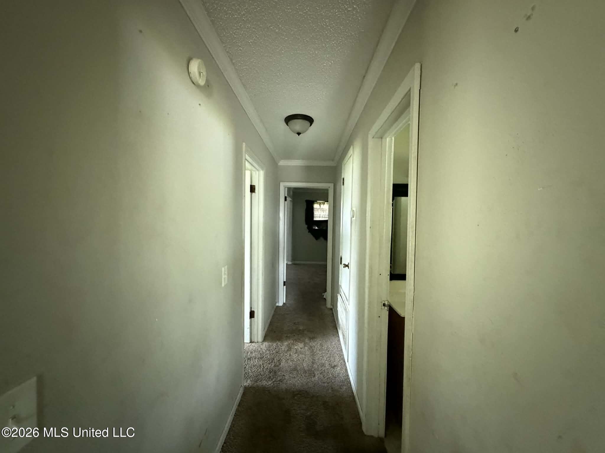 123 Sinclair Street Property Photo 10