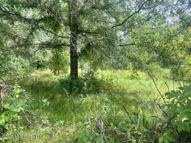 4034 W Topisaw Property Photo 1
