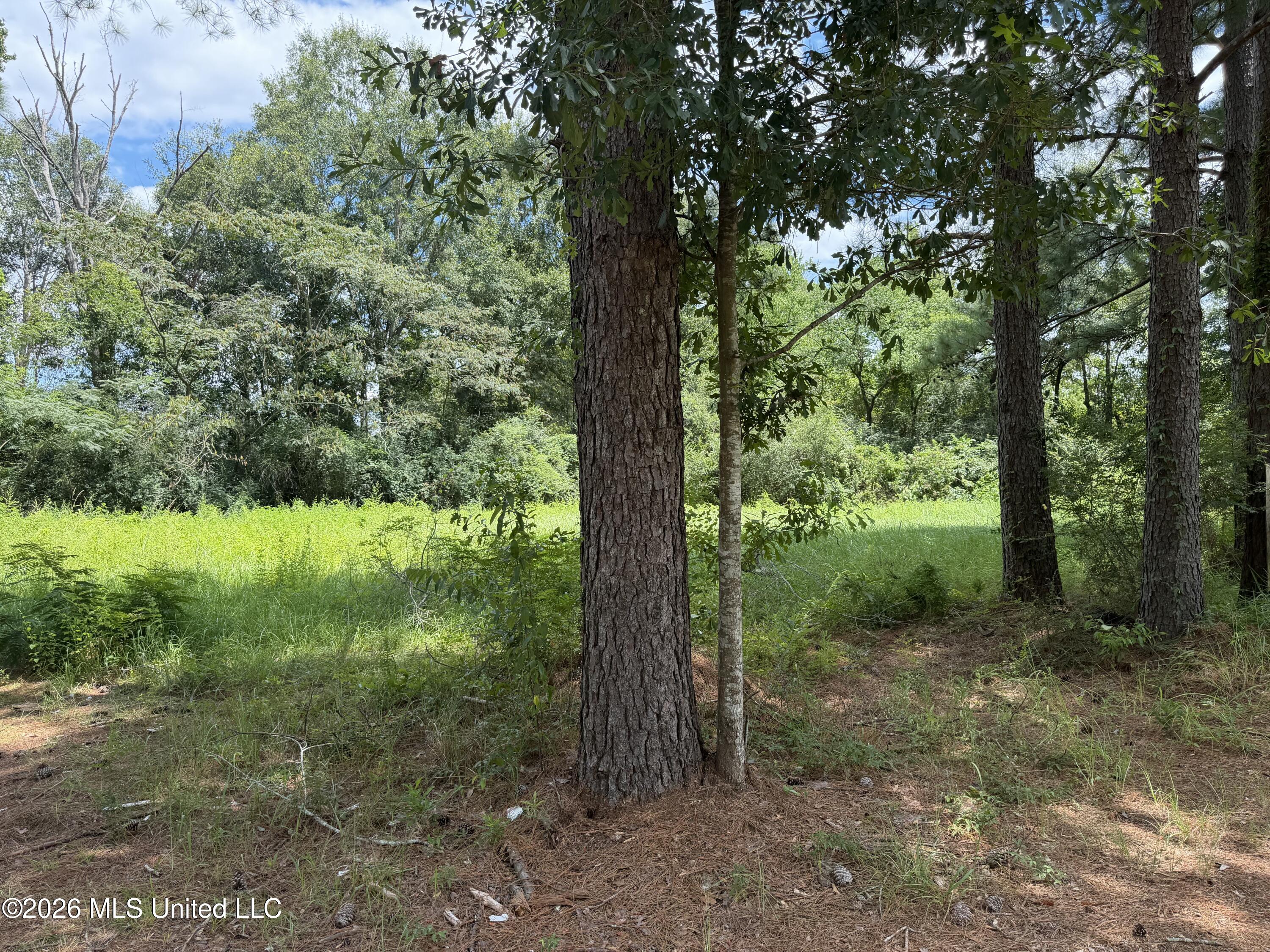 6604 Skeeter Branch Road Property Photo 9