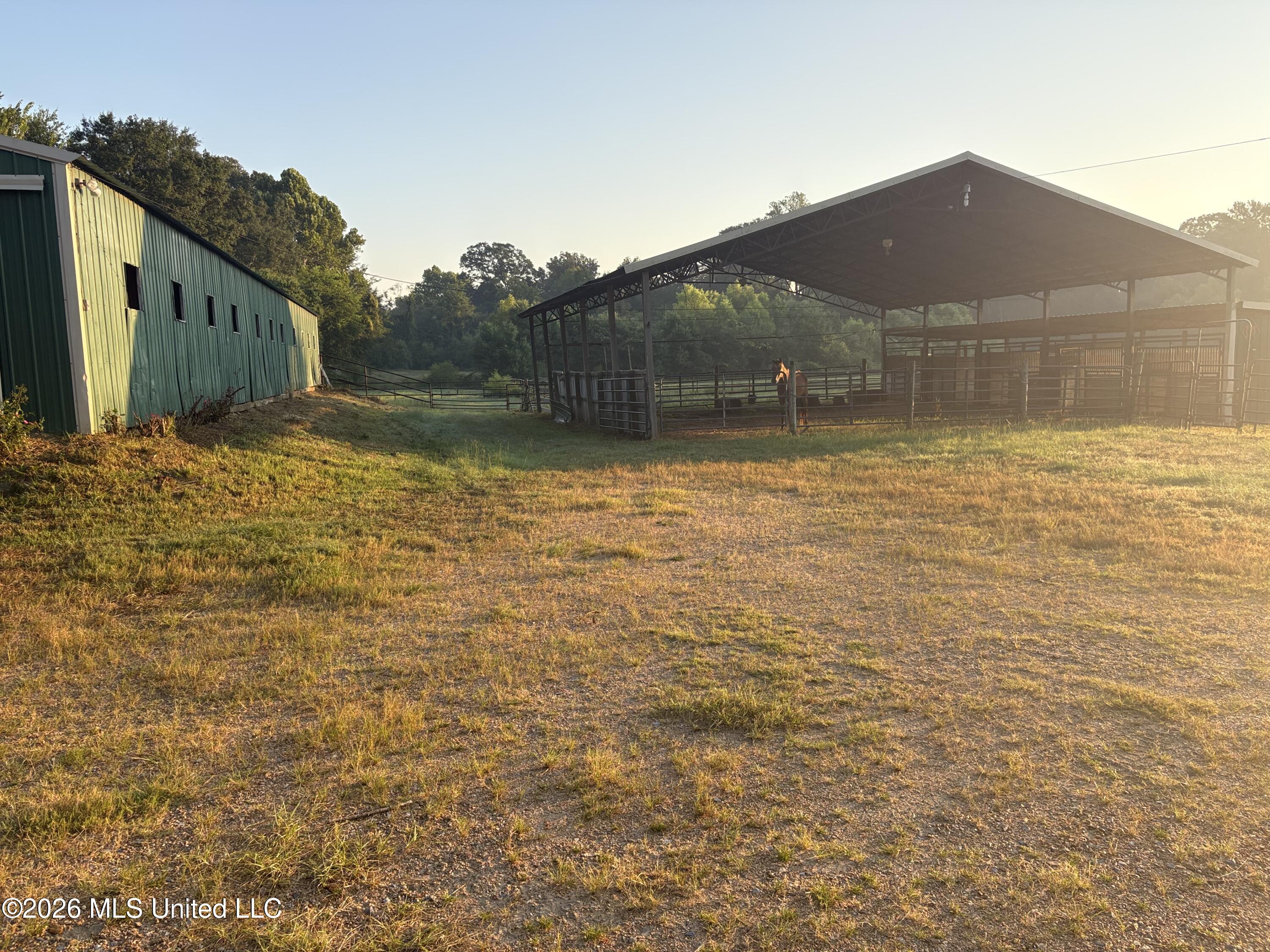 253 W Petros Road Property Photo 6