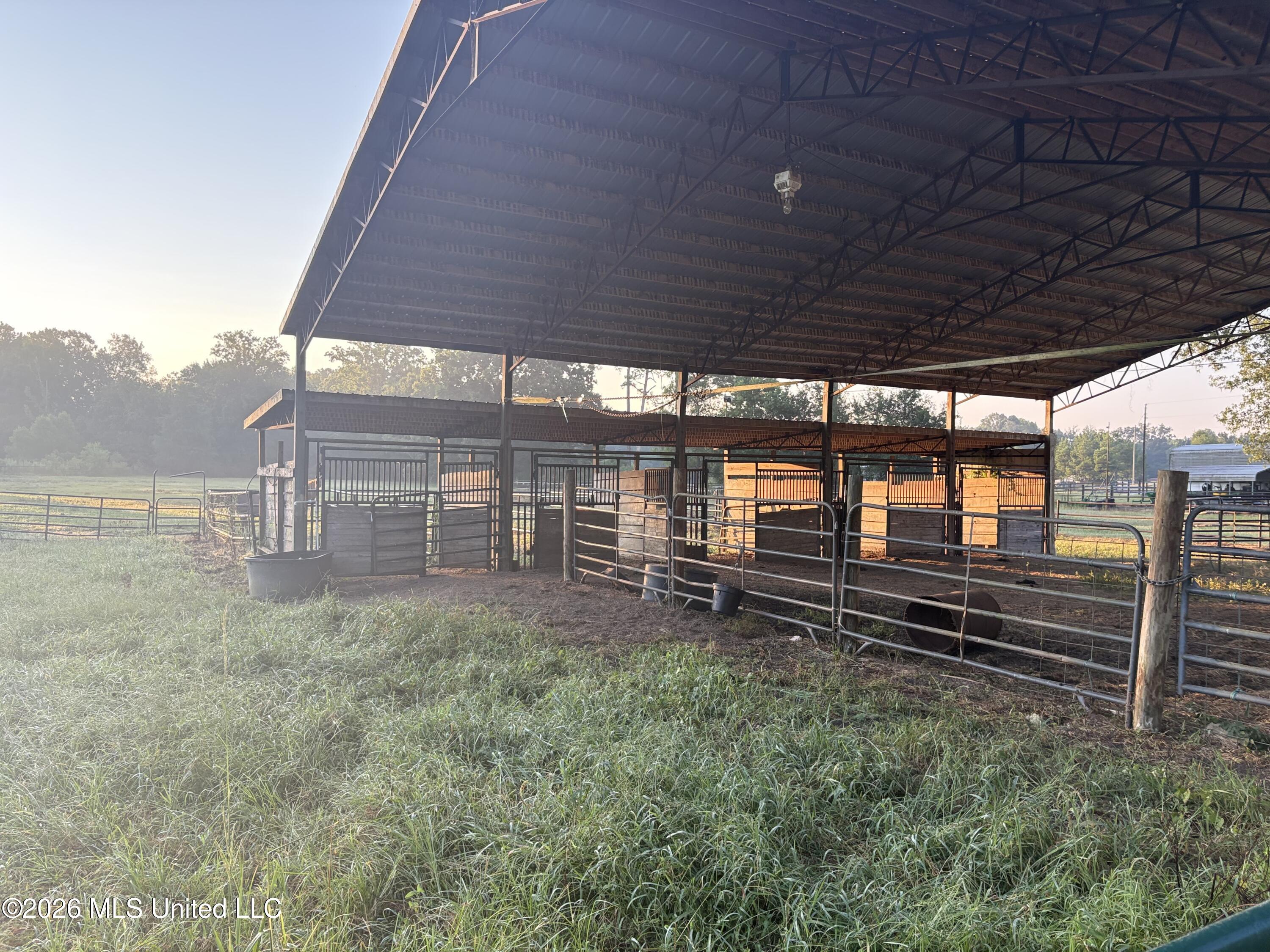 253 W Petros Road Property Photo 9