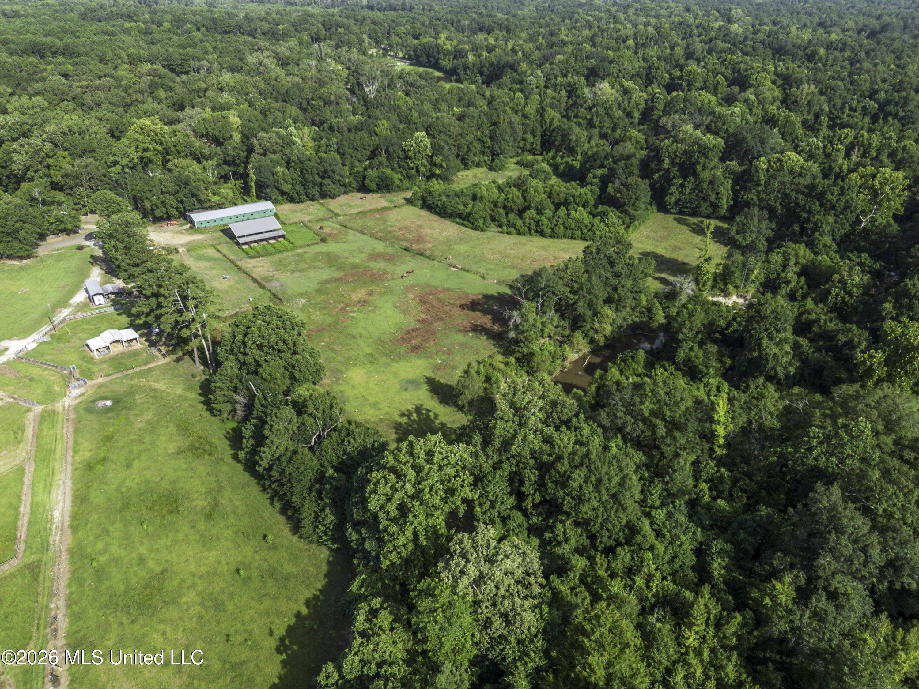 253 W Petros Road Property Photo 42
