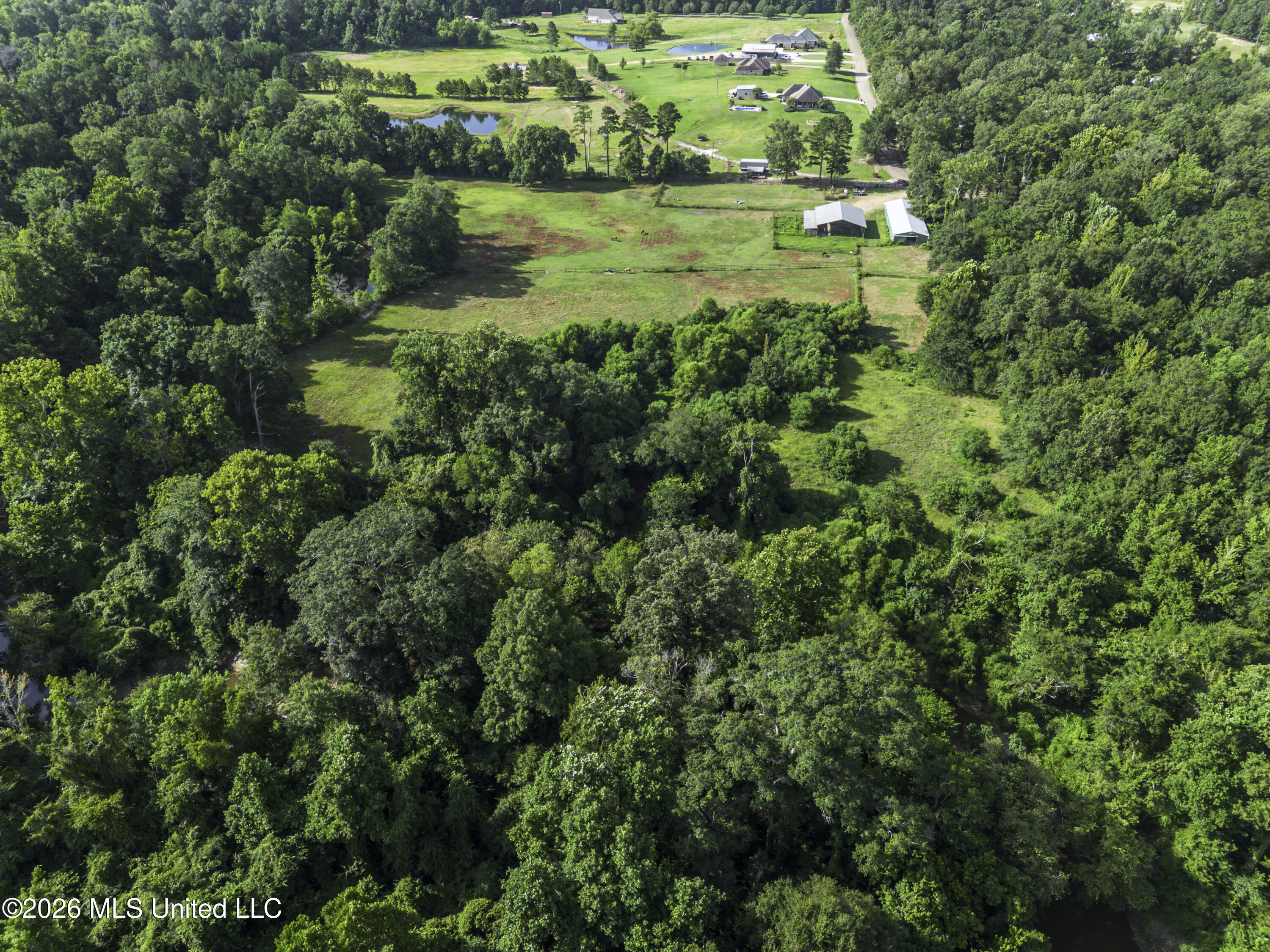 253 W Petros Road Property Photo 45