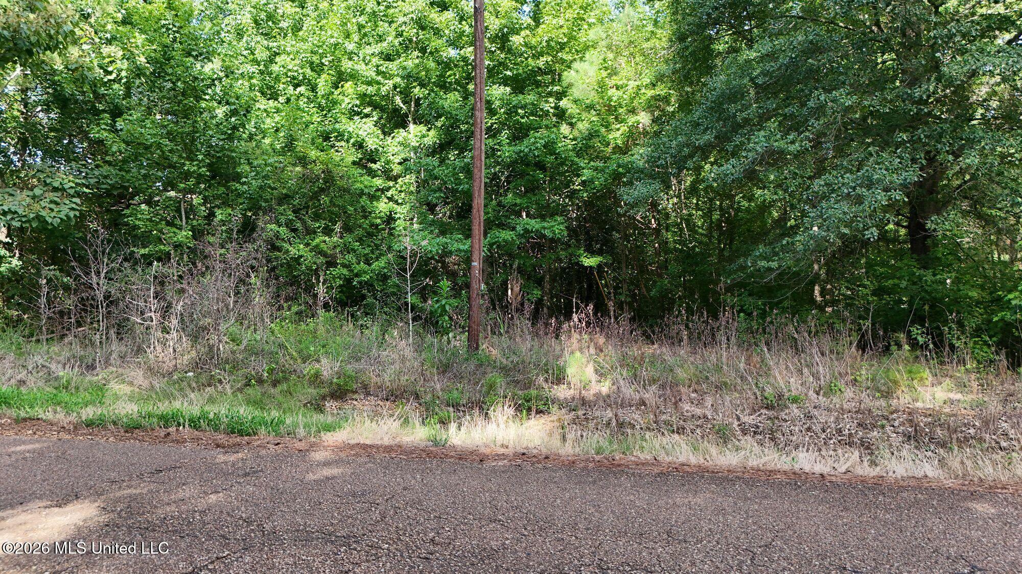 1400 Kelly Crossing Road Property Photo 5