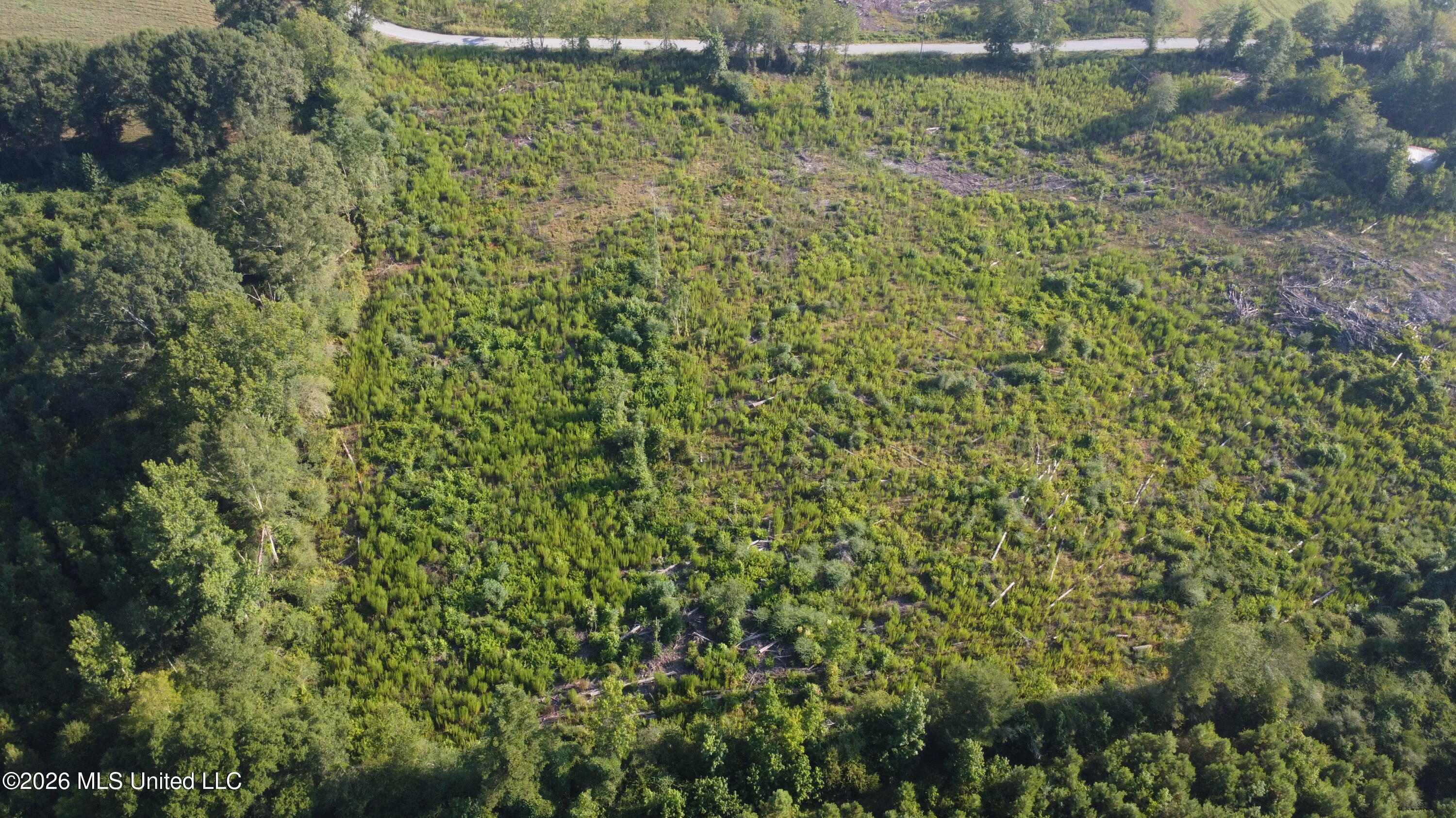Sinclair Road Property Photo 2