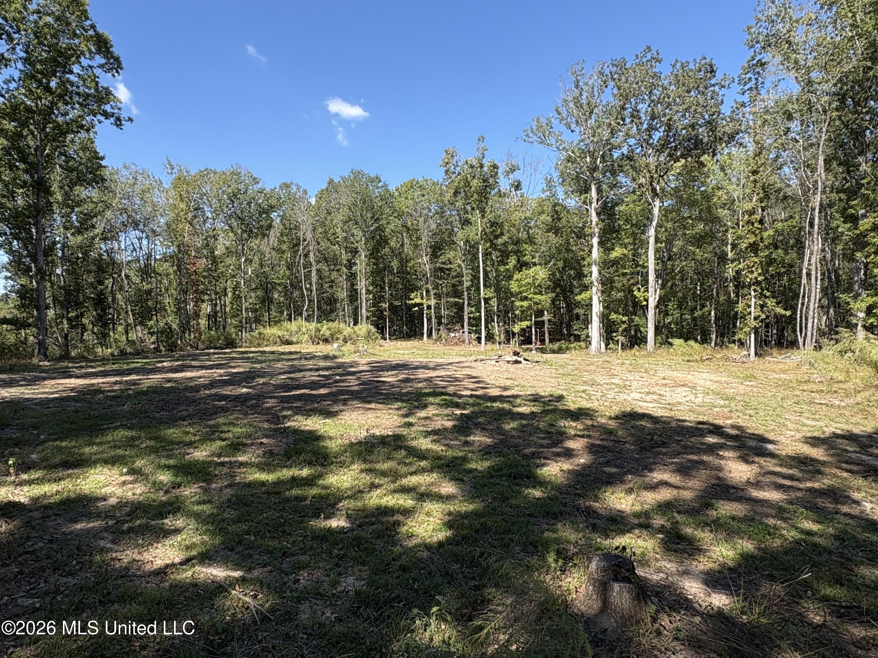 229 Barnes Road Property Photo 9