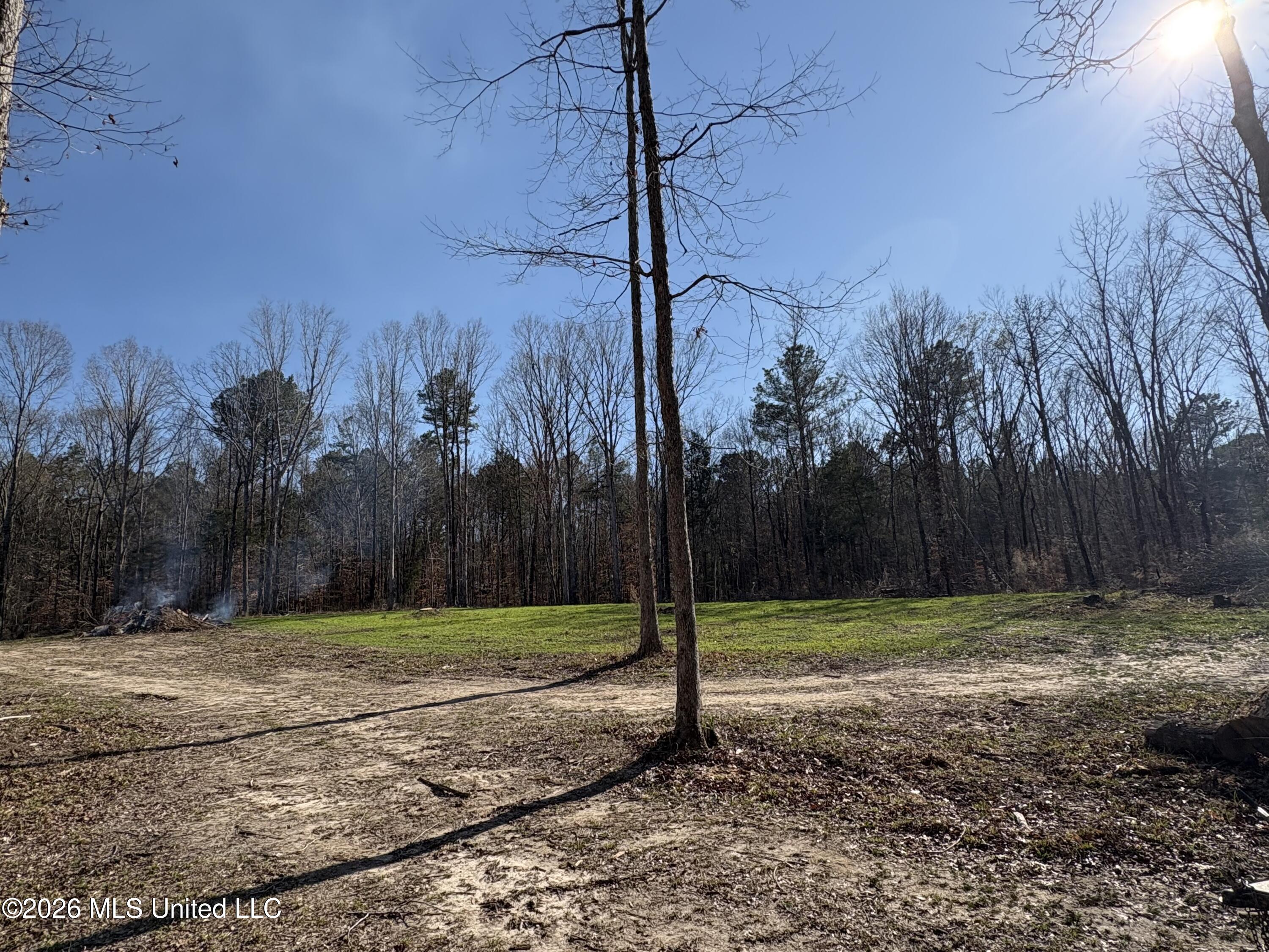 229 Barnes Road Property Photo 16