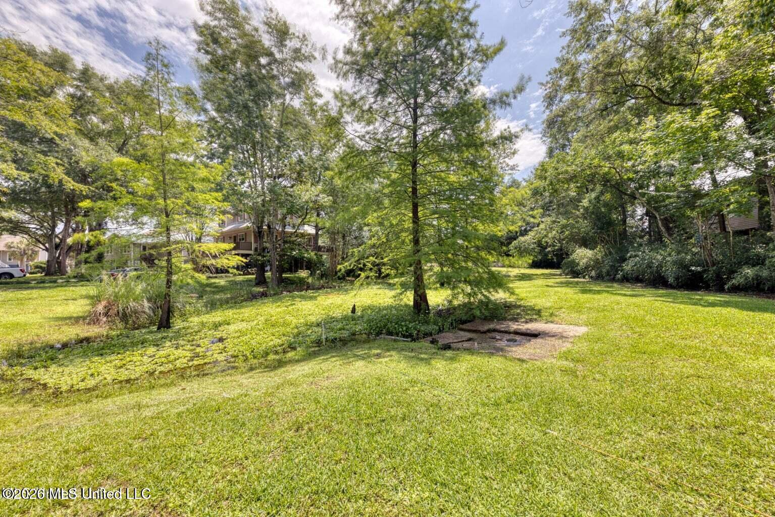3573 Brandon James Drive Property Photo 26