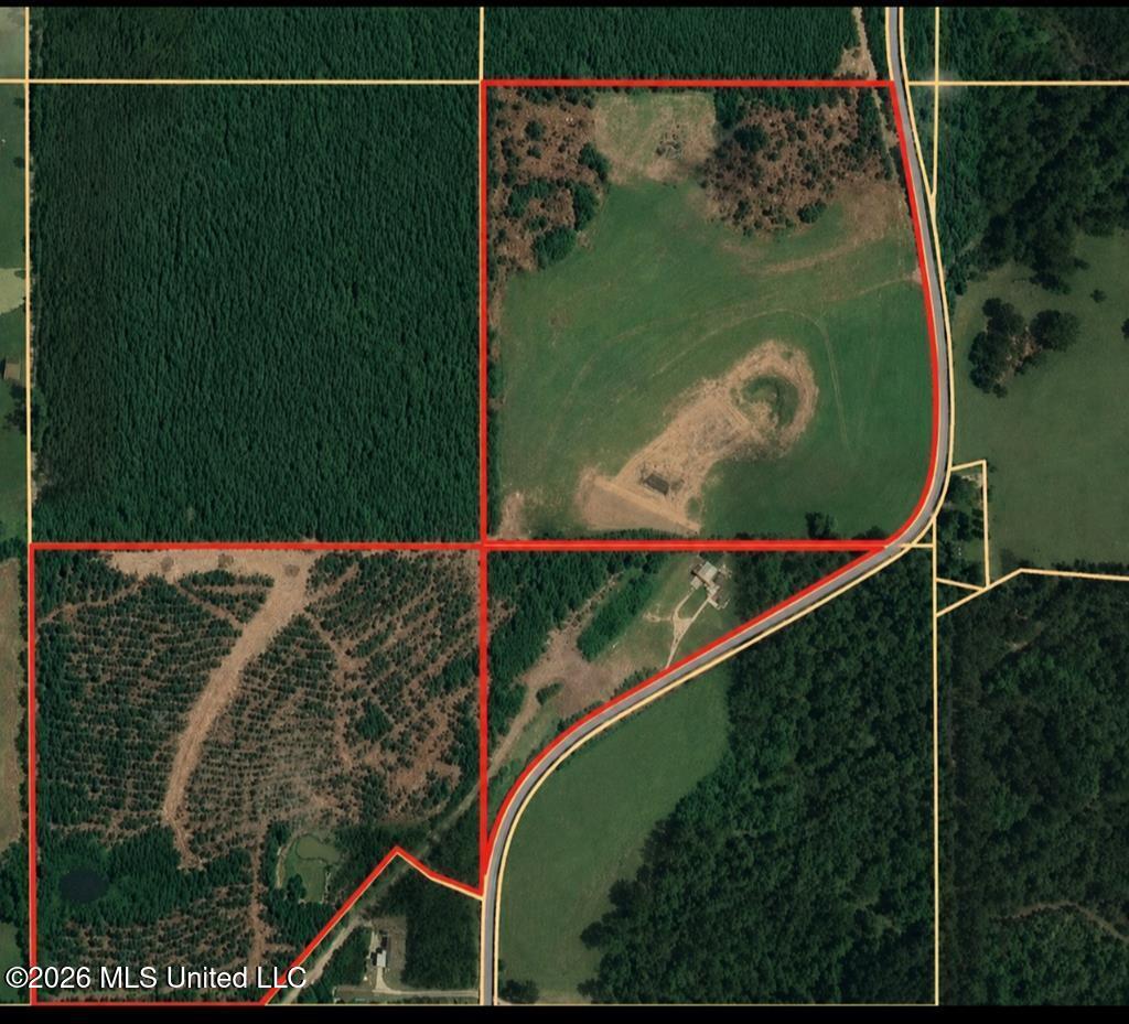 121 Molly Road Property Photo 18
