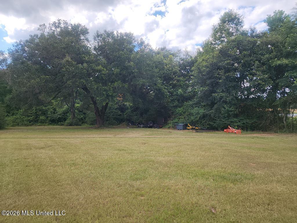 121 Molly Road Property Photo 29