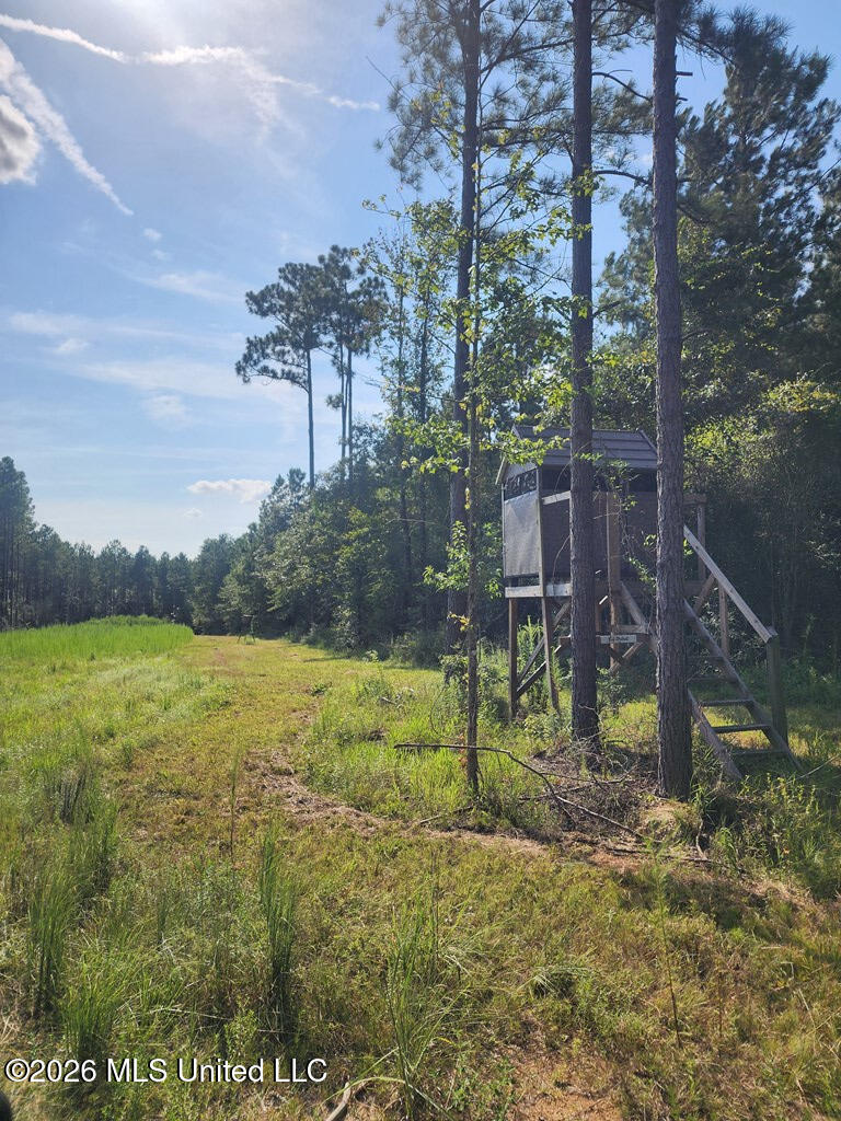 121 Molly Road Property Photo 34
