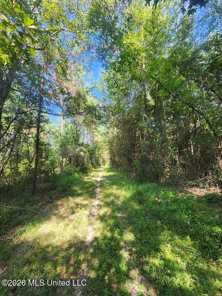 121 Molly Road Property Photo 36