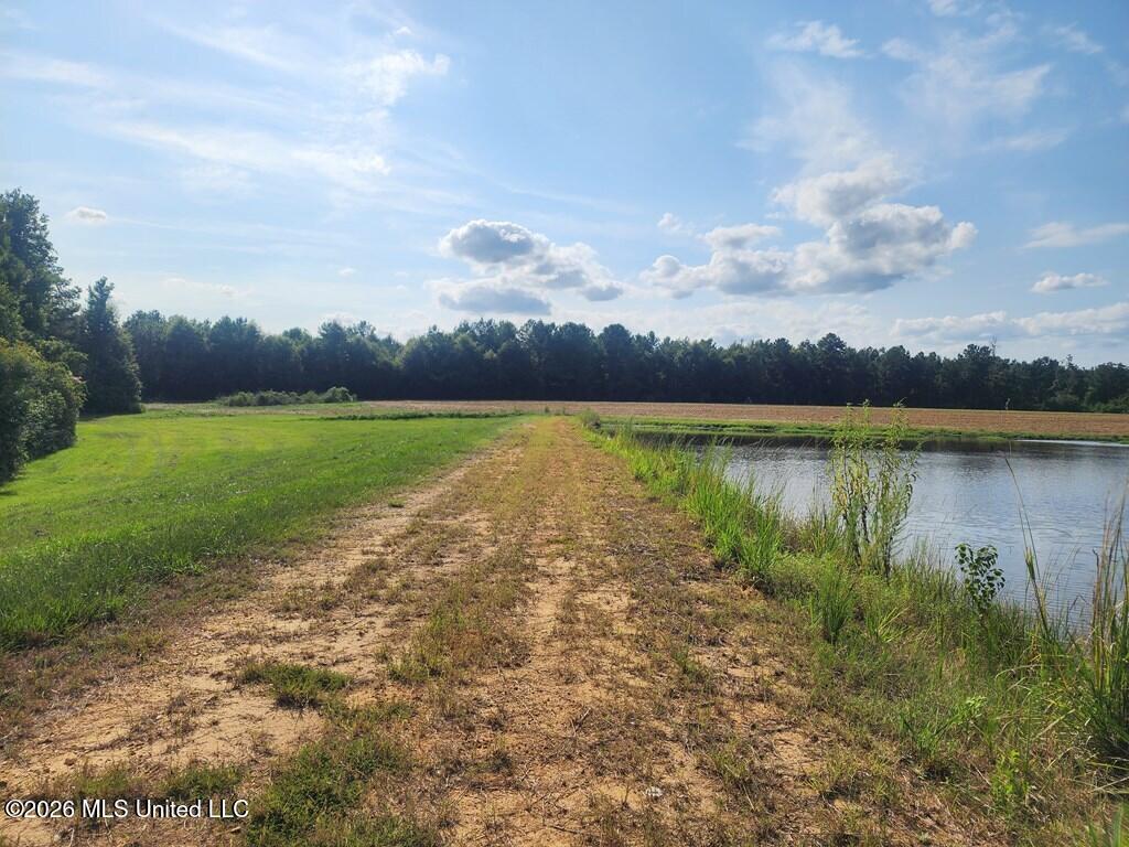 121 Molly Road Property Photo 37