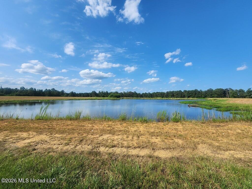 121 Molly Road Property Photo 39