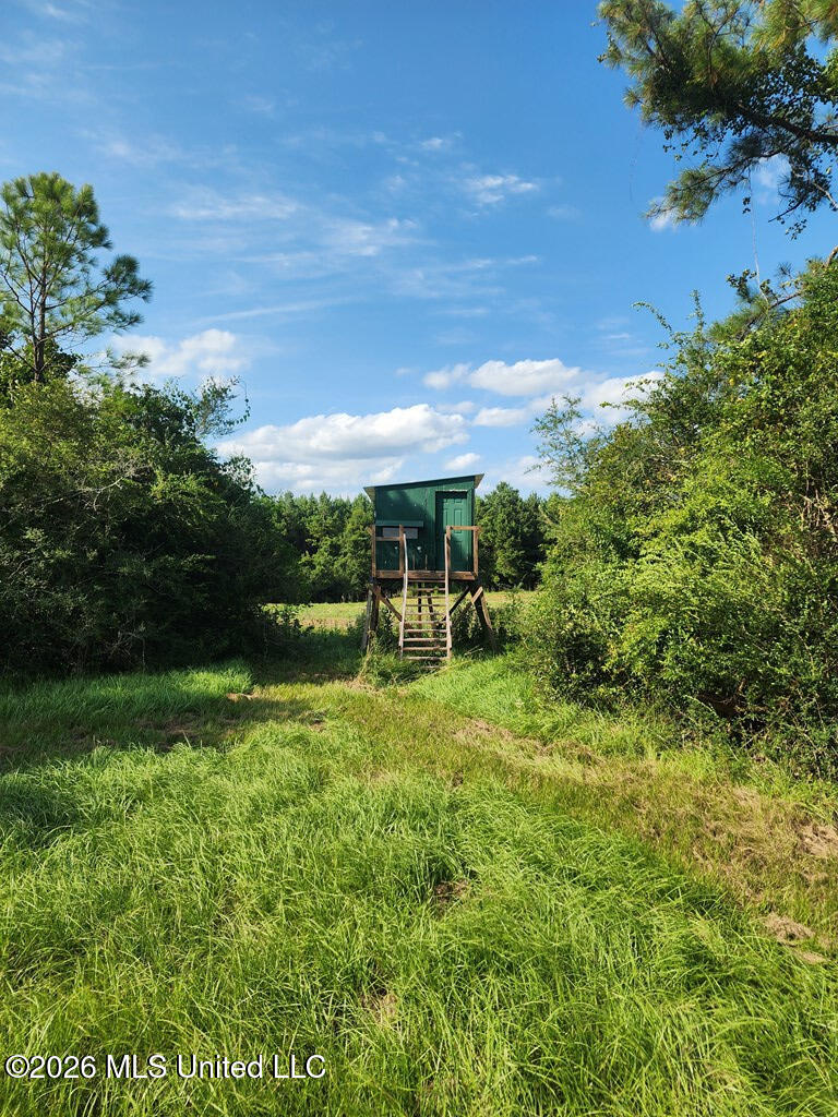 121 Molly Road Property Photo 42