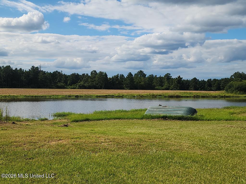 121 Molly Road Property Photo 45