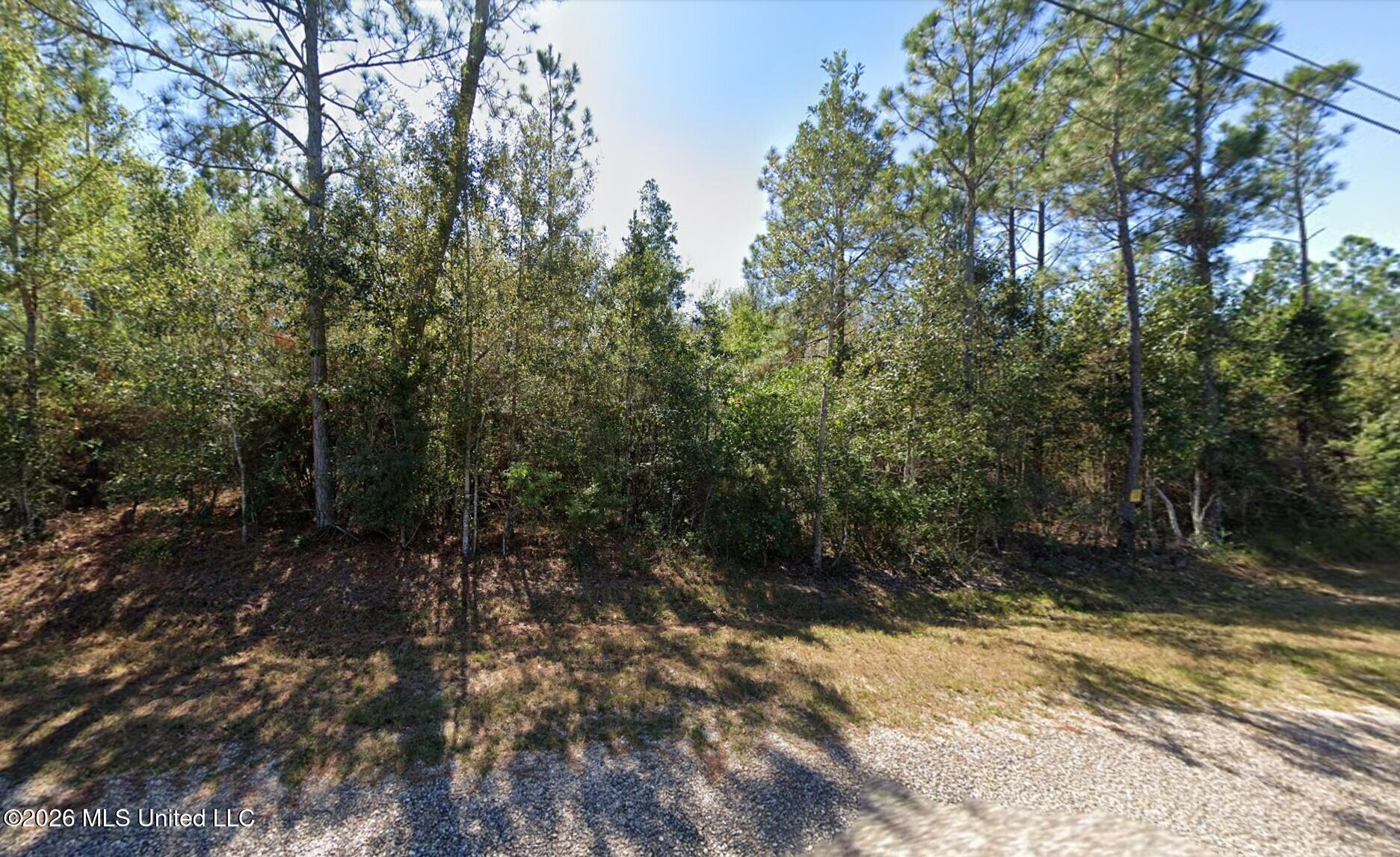 27025 Deer Lane Property Photo 2