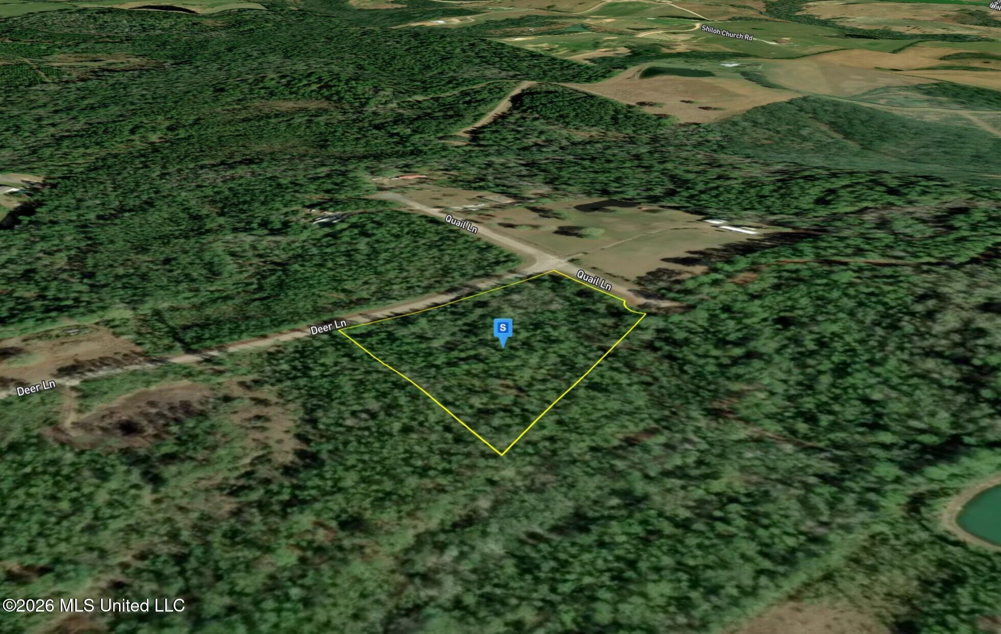 27025 Deer Lane Property Photo 3