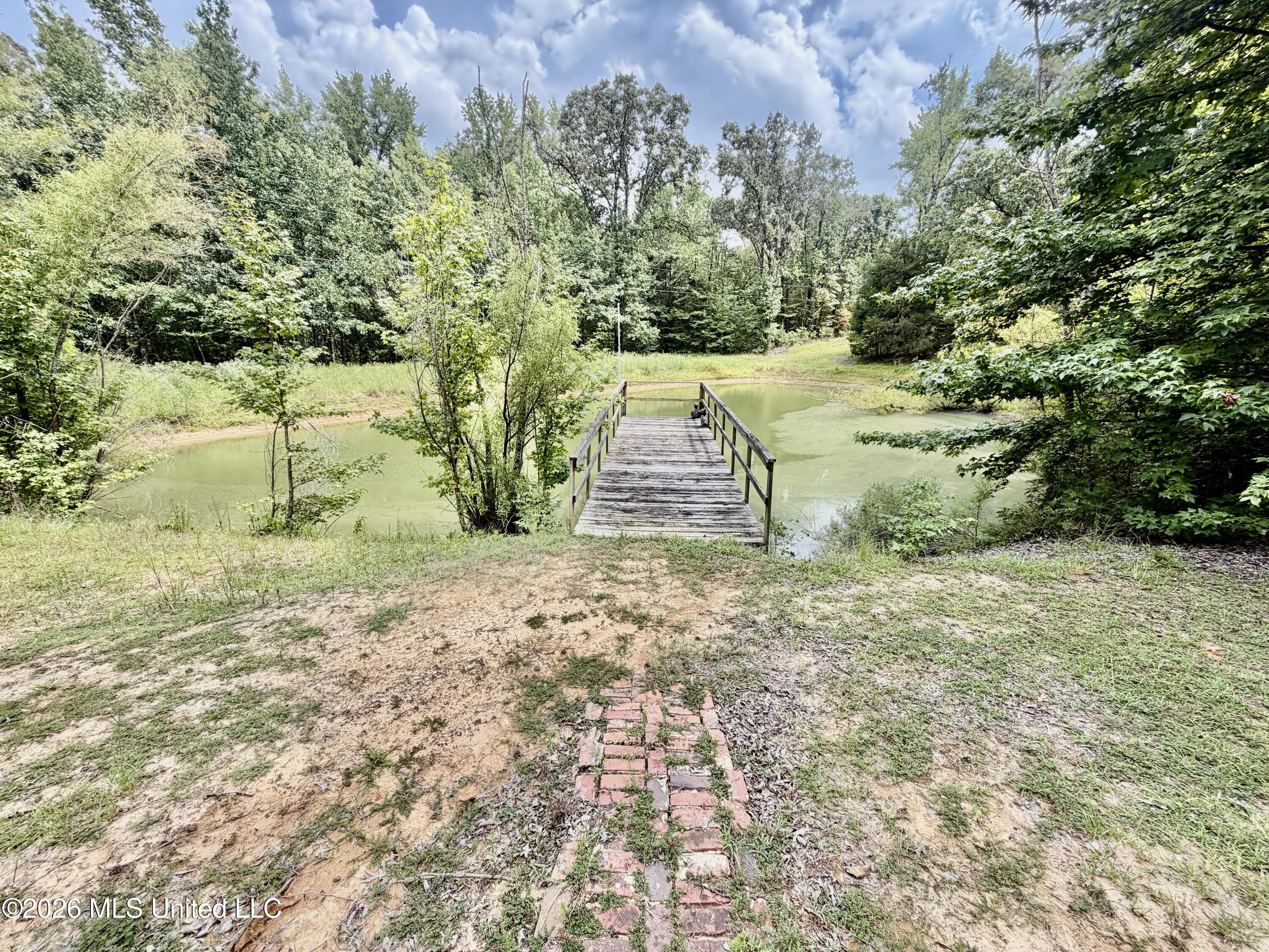 1081 County Road 184 B Property Photo 4