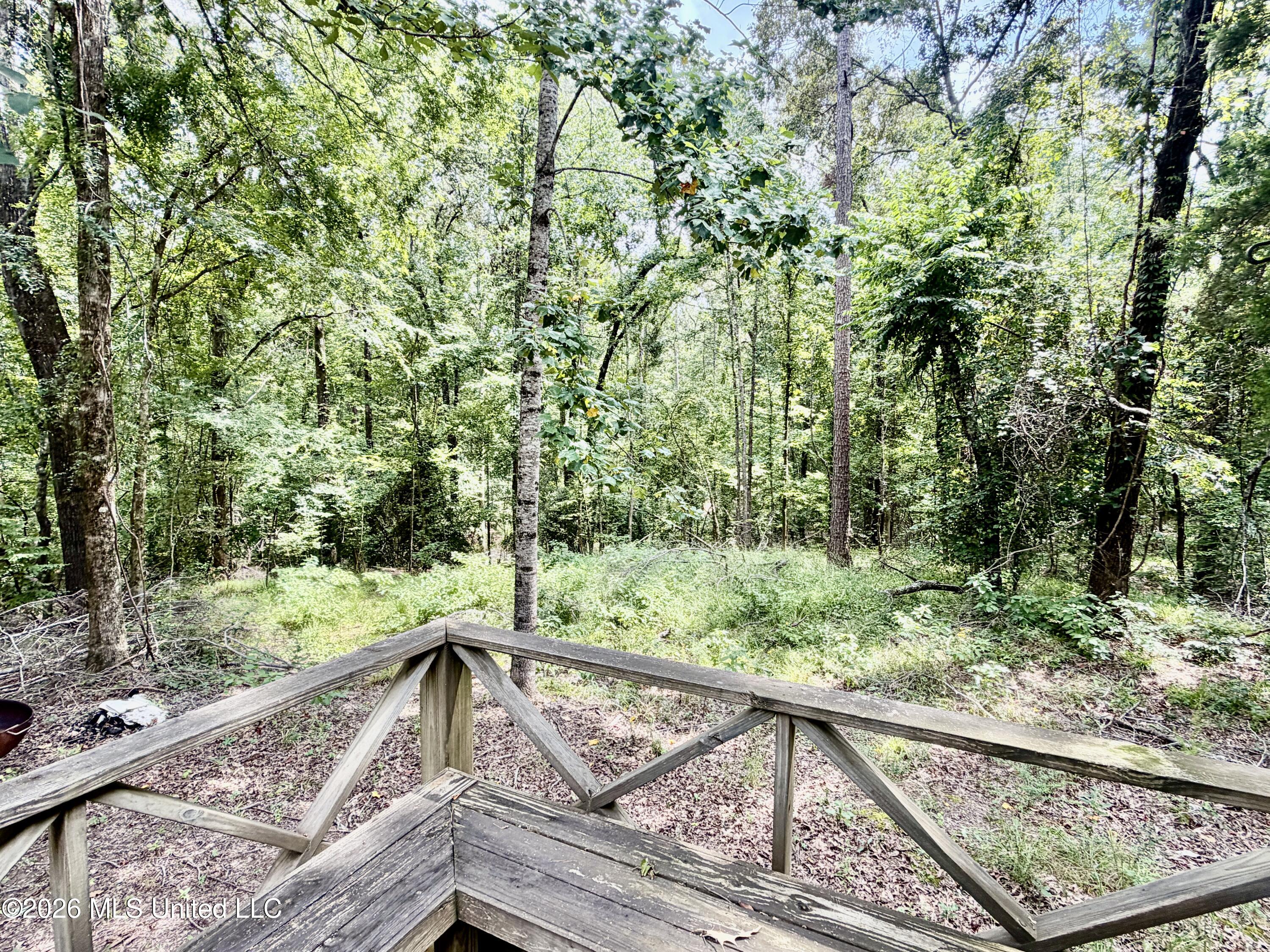 1081 County Road 184 B Property Photo 19