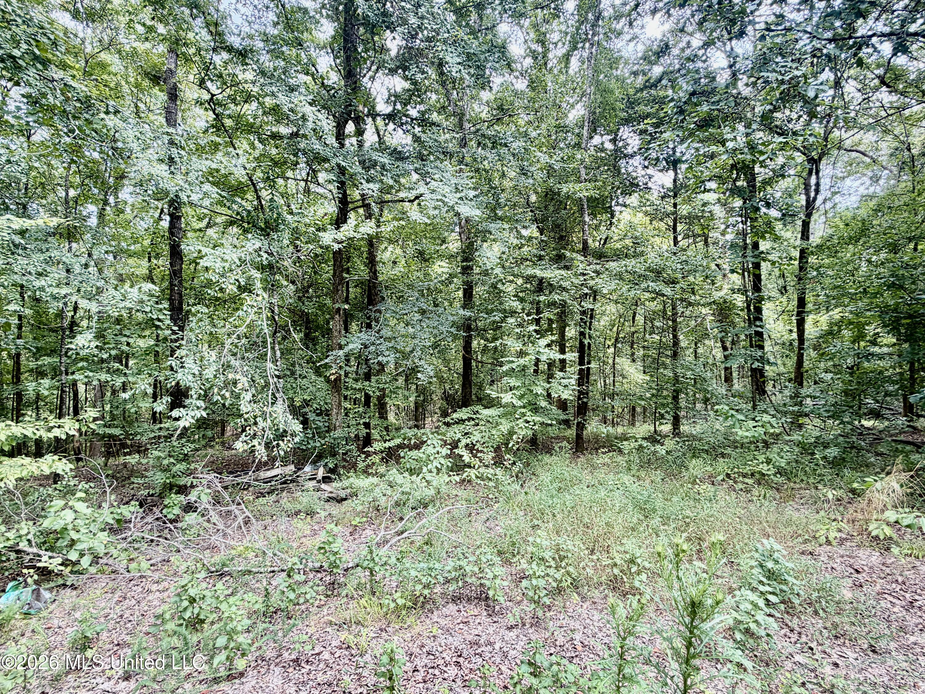 1081 County Road 184 B Property Photo 20
