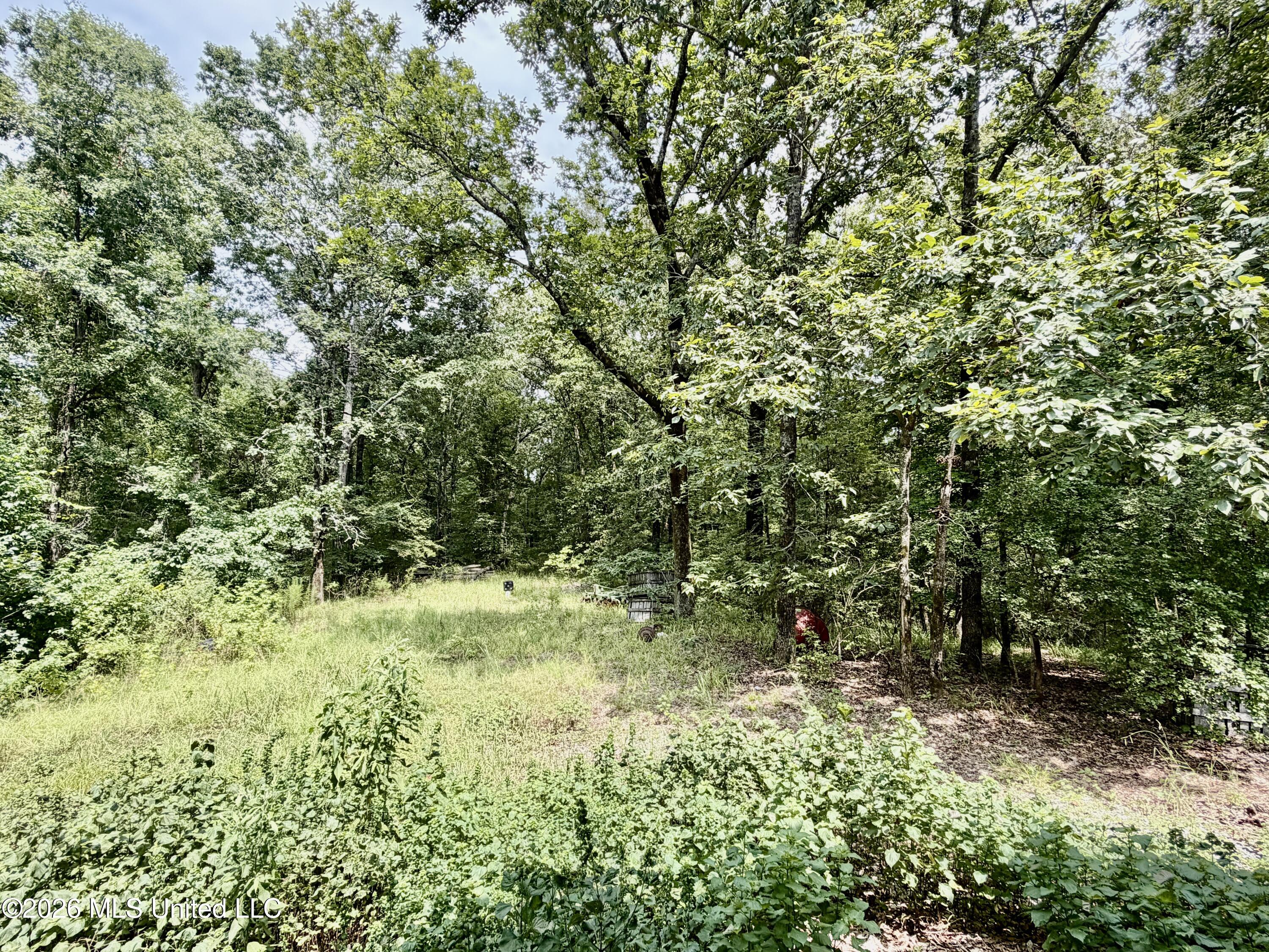 1081 County Road 184 B Property Photo 21