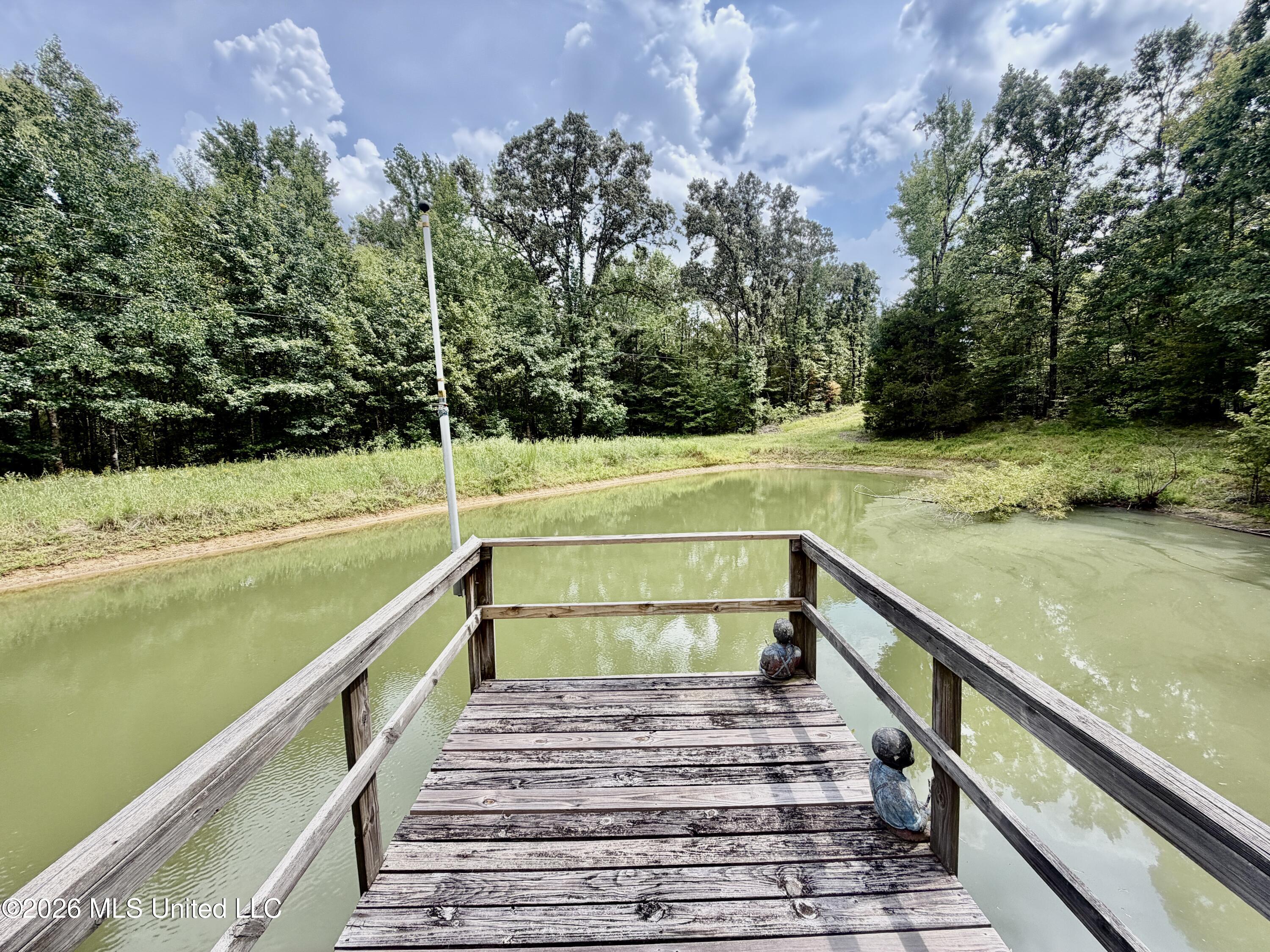 1081 County Road 184 B Property Photo 25