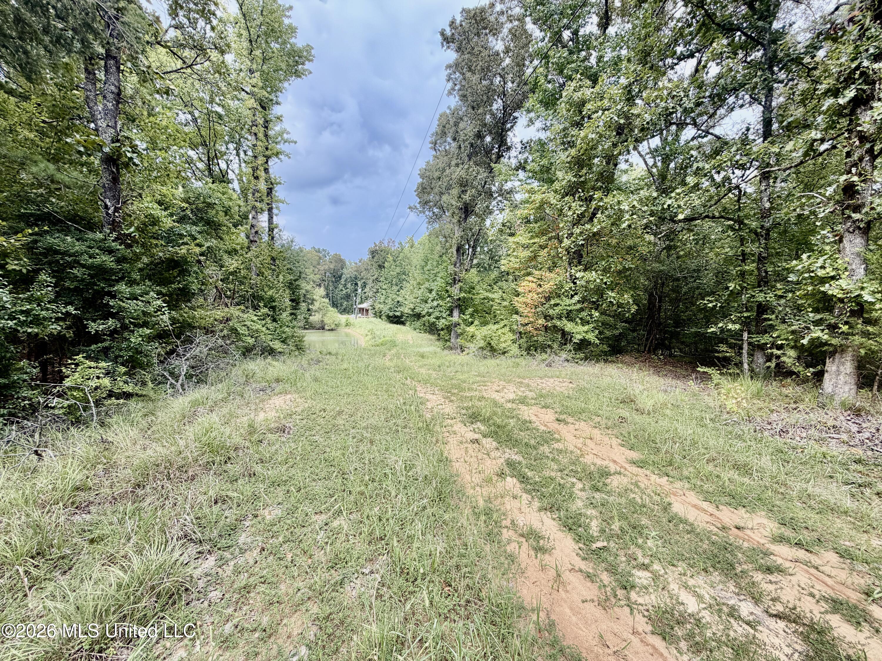 1081 County Road 184 B Property Photo 28