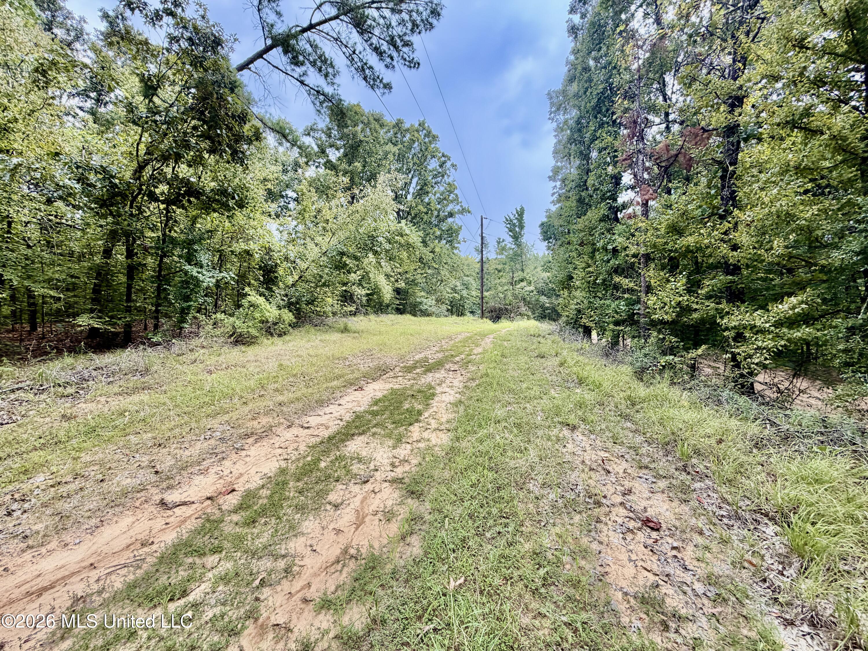 1081 County Road 184 B Property Photo 29