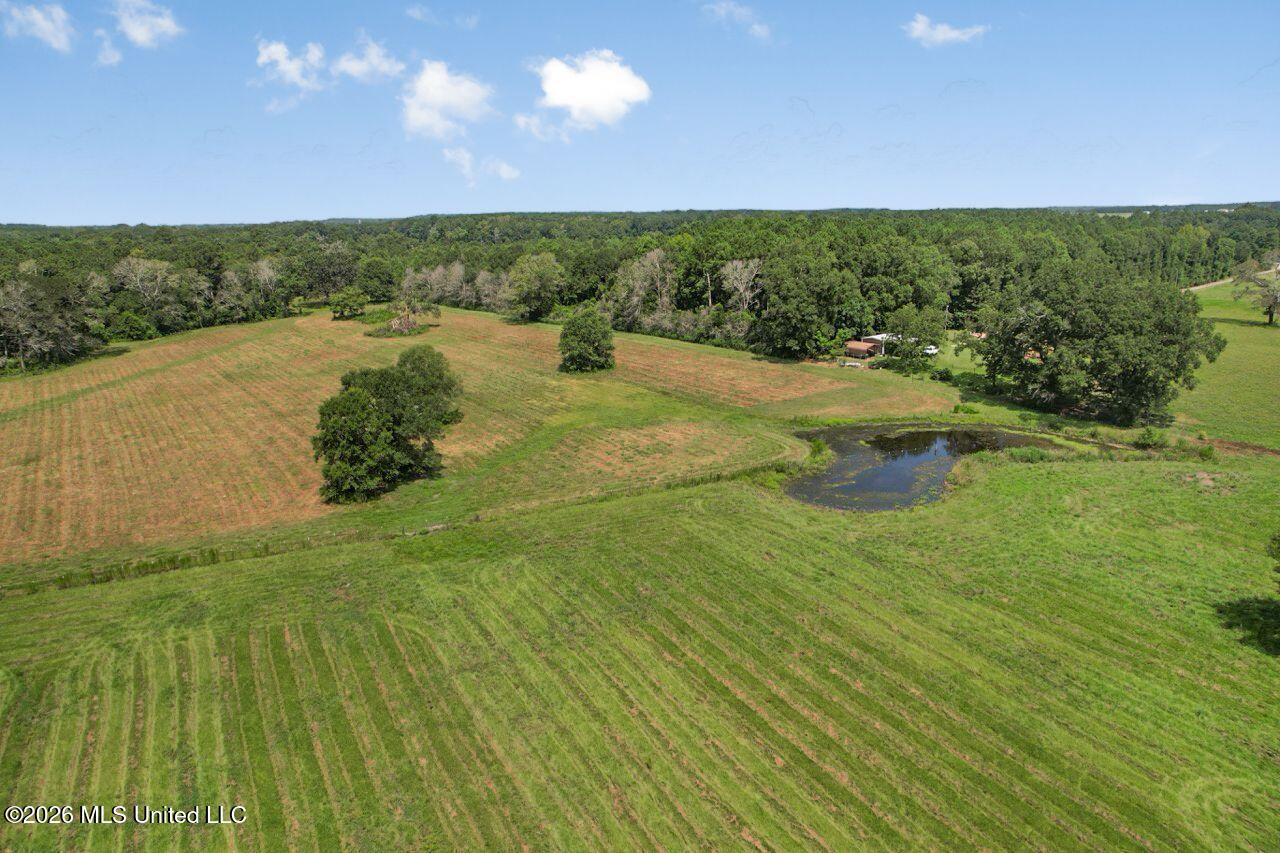 1163 John Amacker Road Property Photo 17