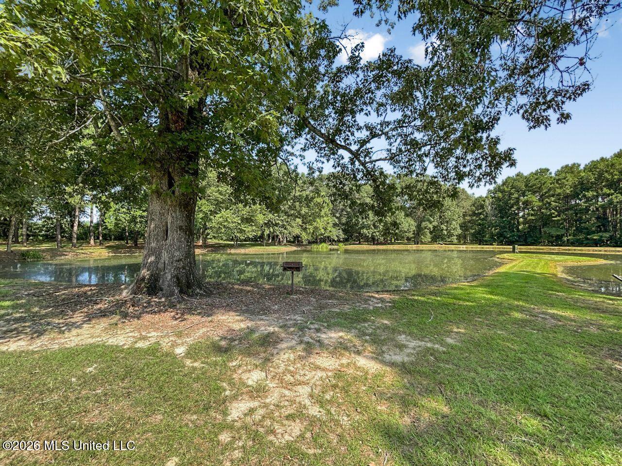 1163 John Amacker Road Property Photo 31