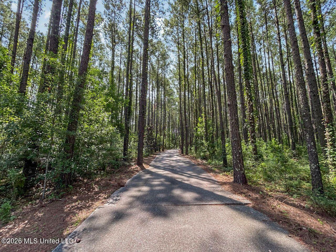 1163 John Amacker Road Property Photo 40