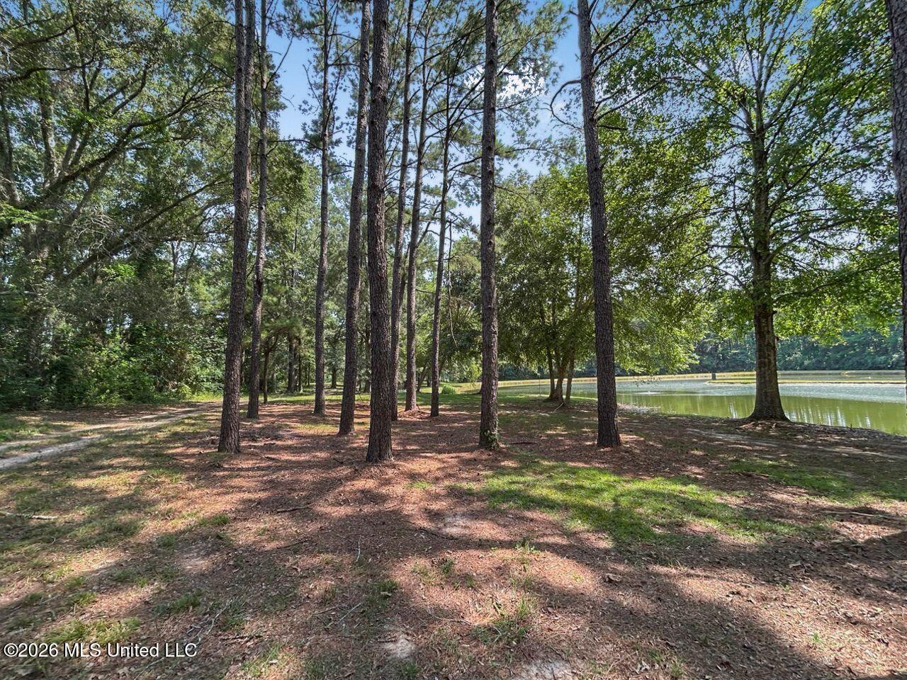 1163 John Amacker Road Property Photo 41