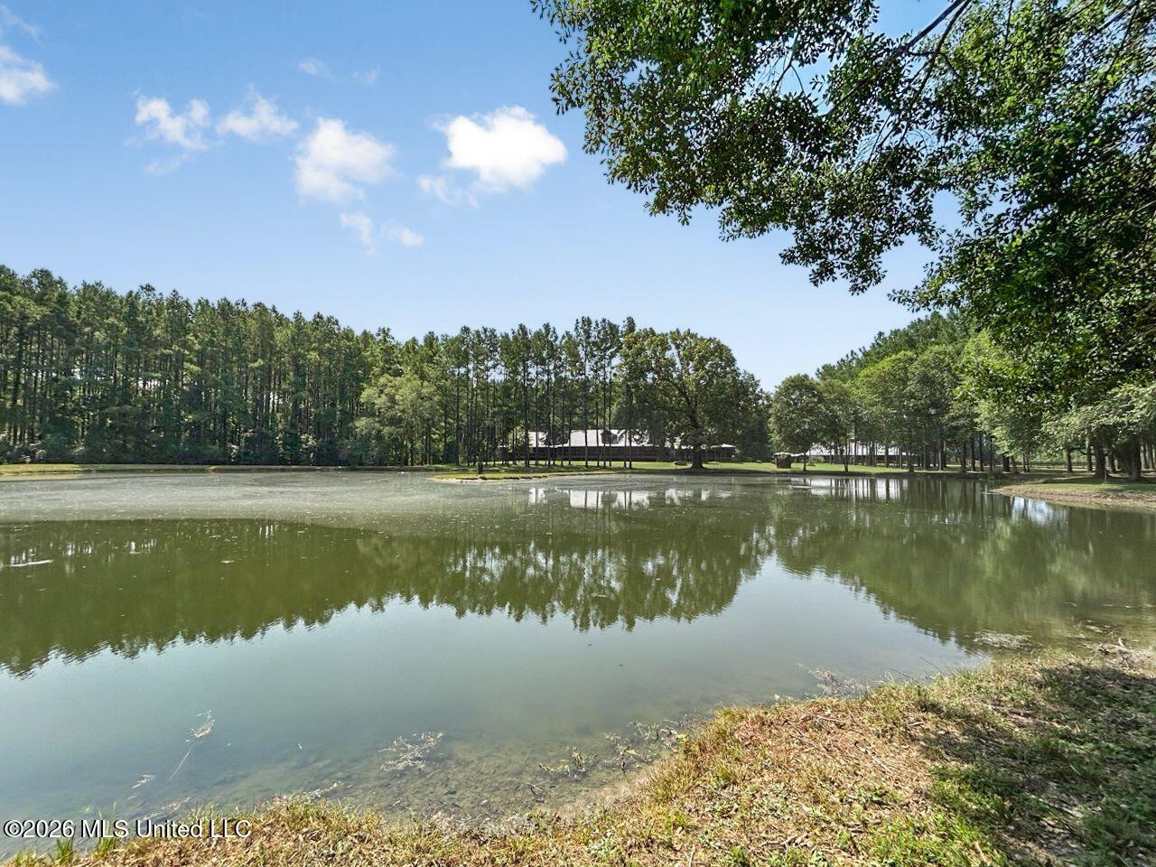 1163 John Amacker Road Property Photo 42
