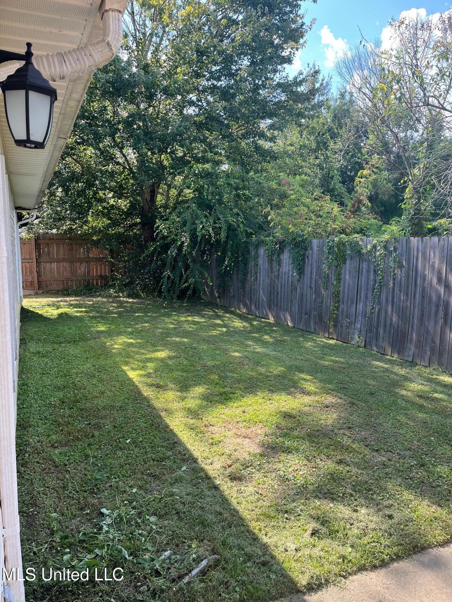 3603 Miles Lane Property Photo 15