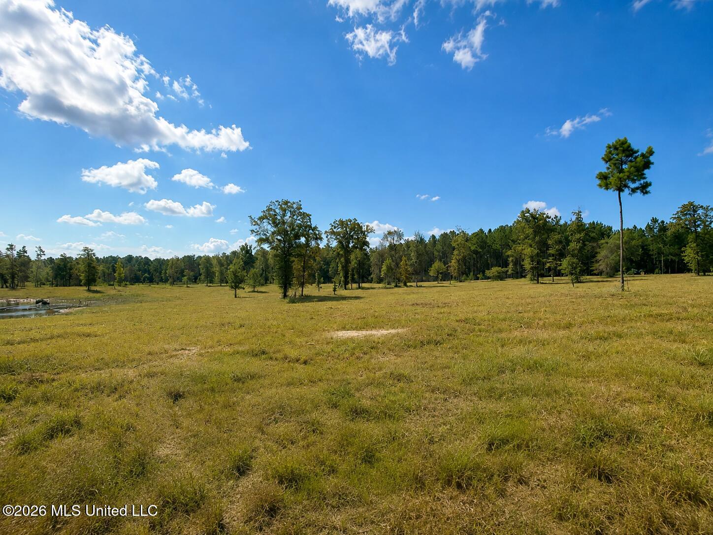 5.09 Ac +/- Industrial Park Road Property Photo 1
