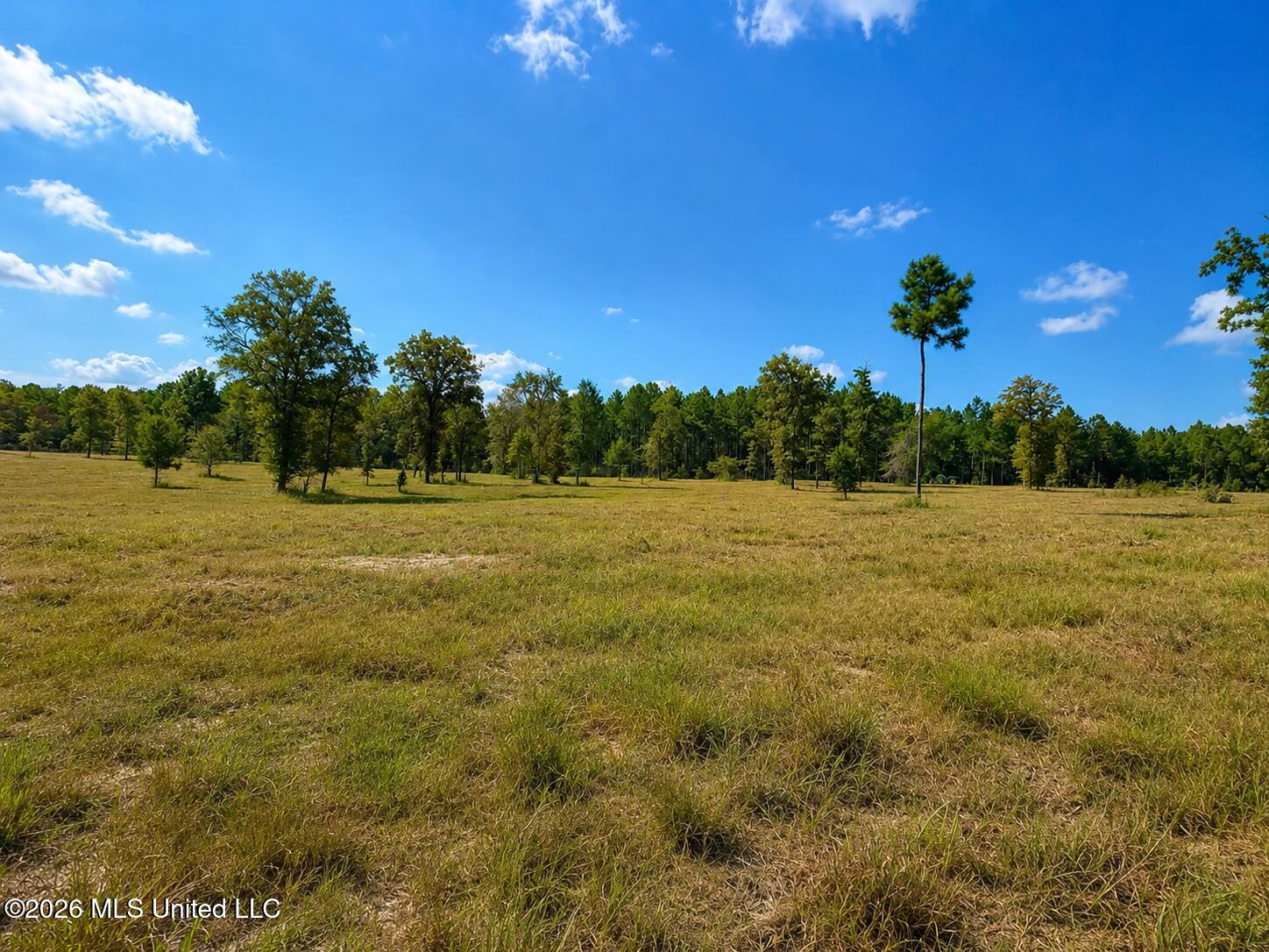 5.09 Ac +/- Industrial Park Road Property Photo 2