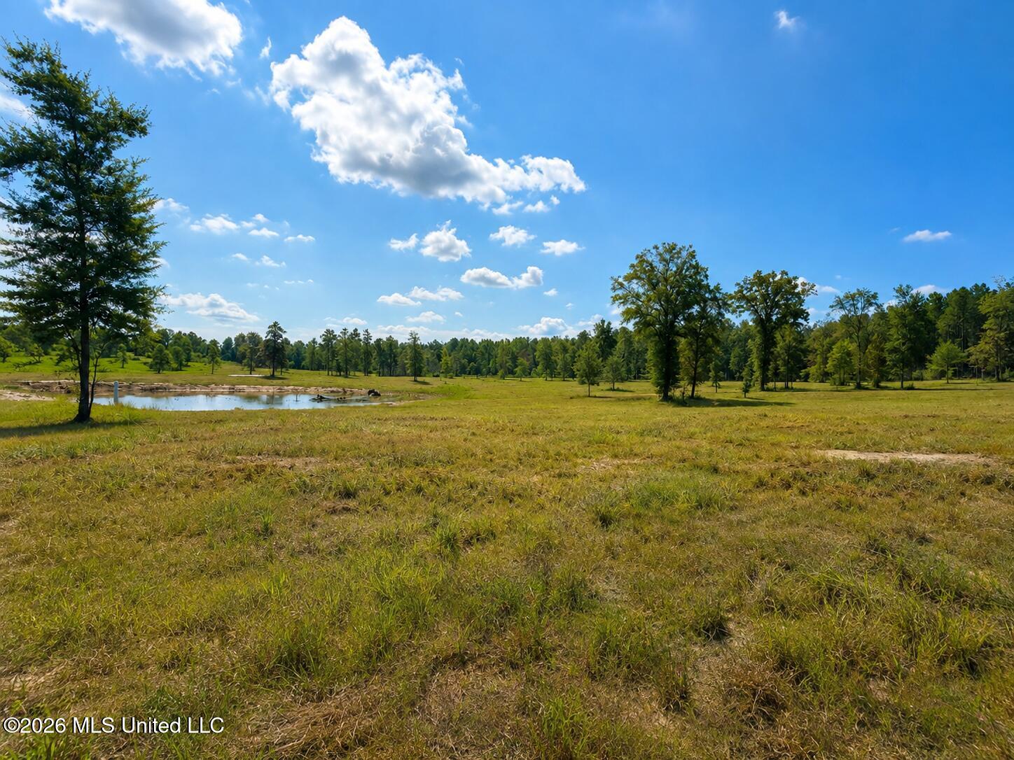 5.09 Ac +/- Industrial Park Road Property Photo 3