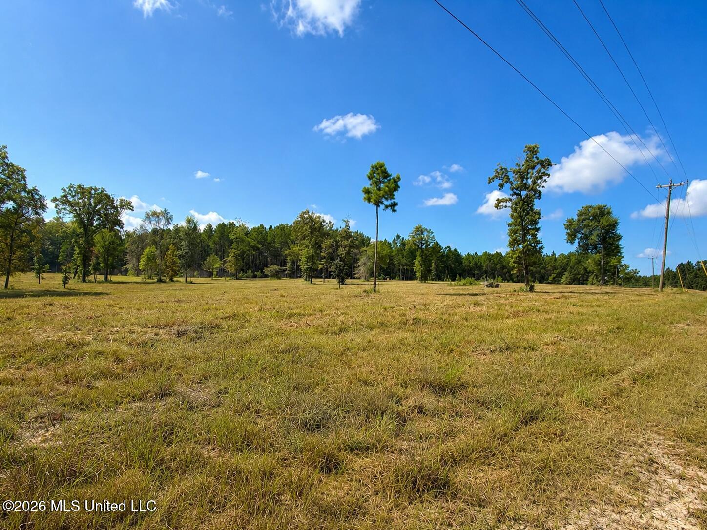 5.09 Ac +/- Industrial Park Road Property Photo 5