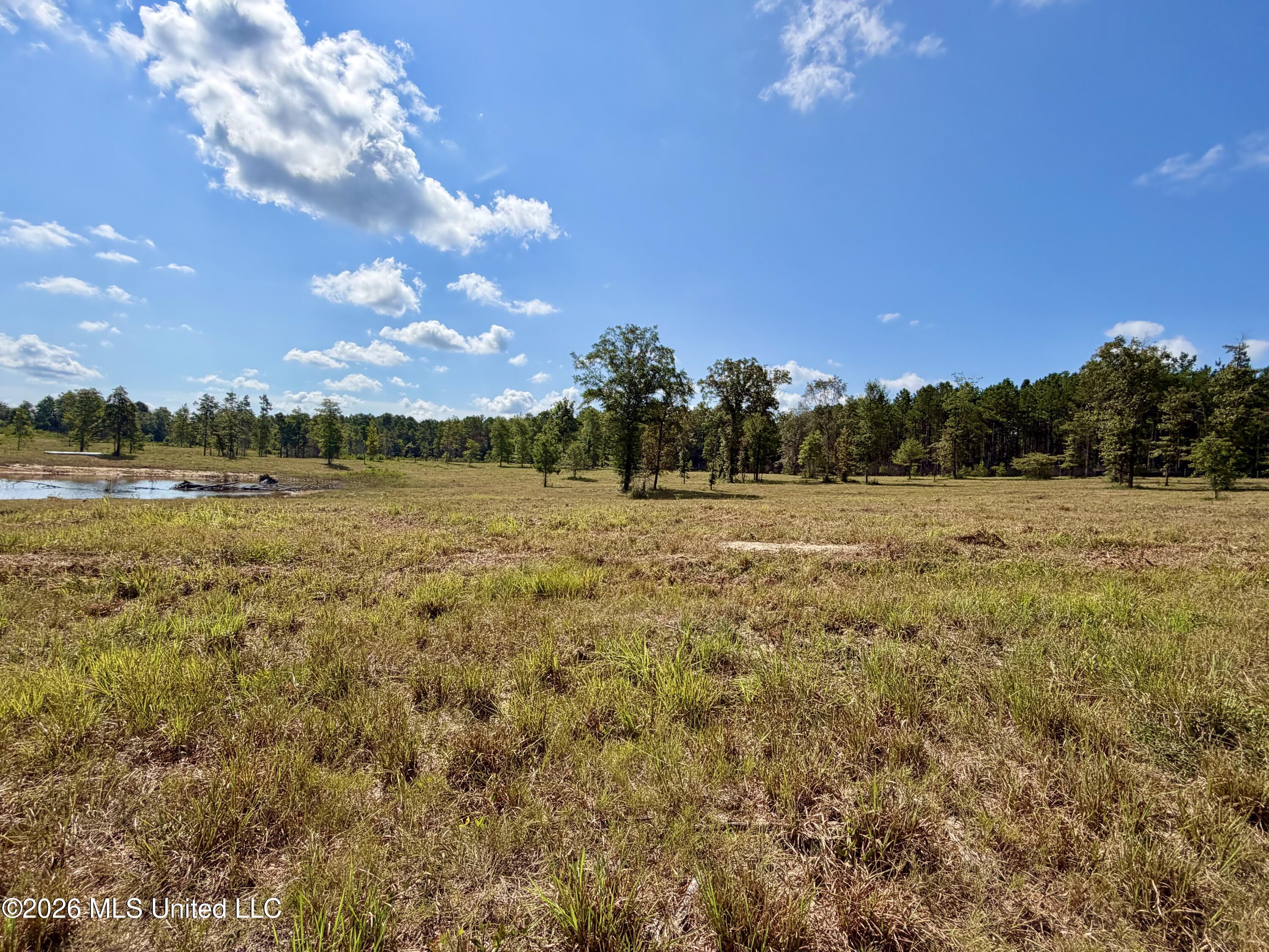5.09 Ac +/- Industrial Park Road Property Photo 6