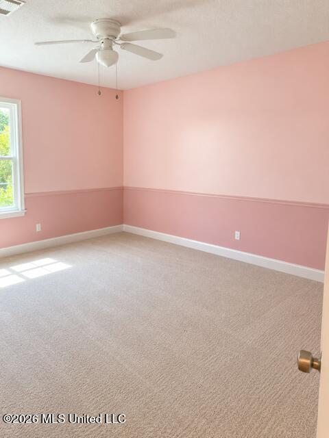 202 Sedgewick Street Property Photo 7