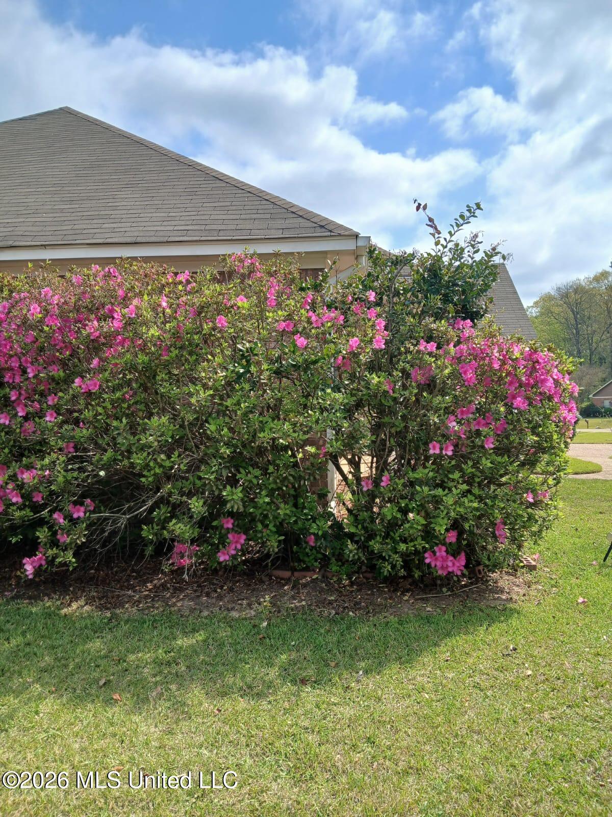 2023 S Cobblestone Cove Property Photo 24