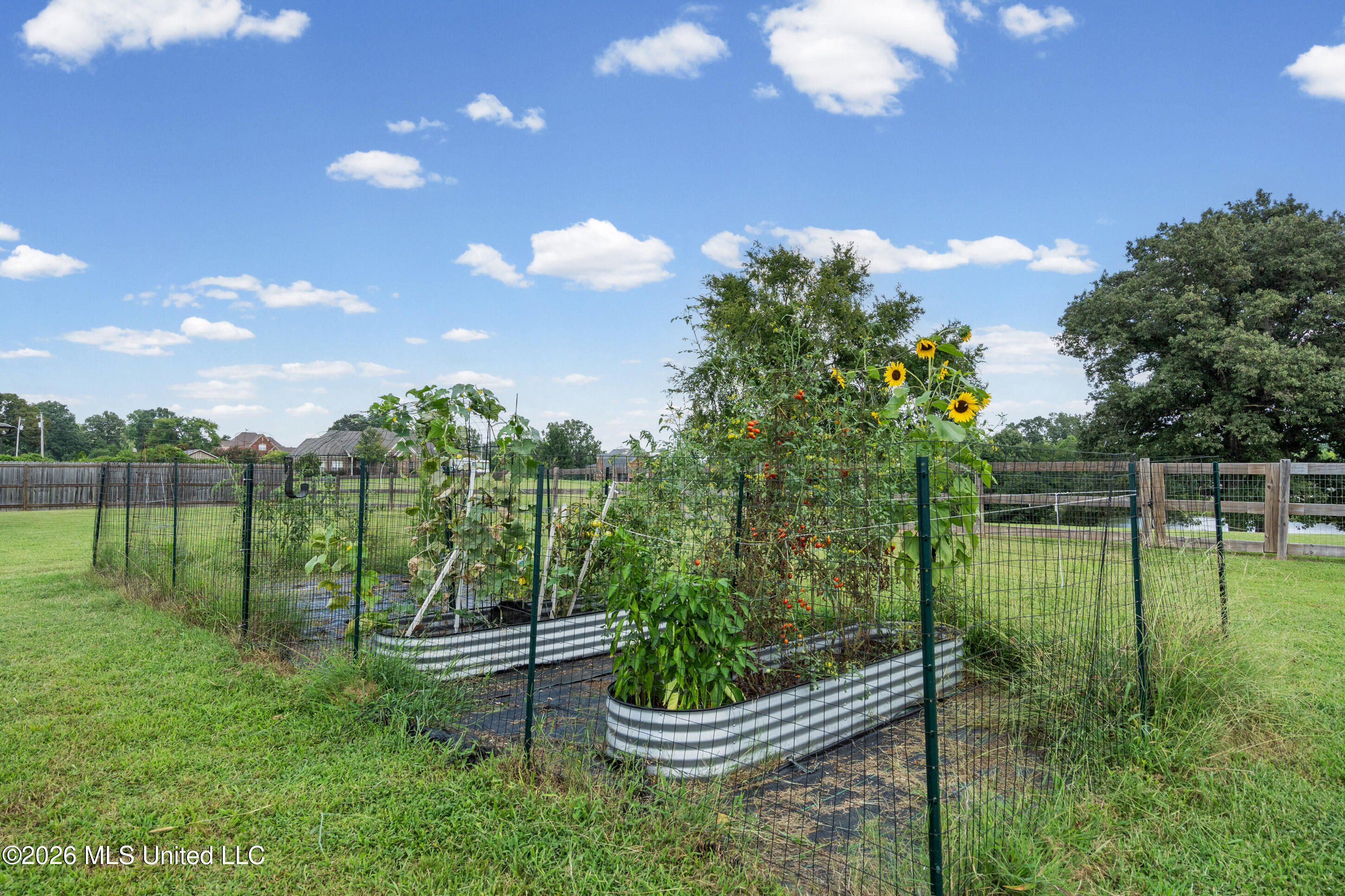 163 Oak Manor Drive Property Photo 45