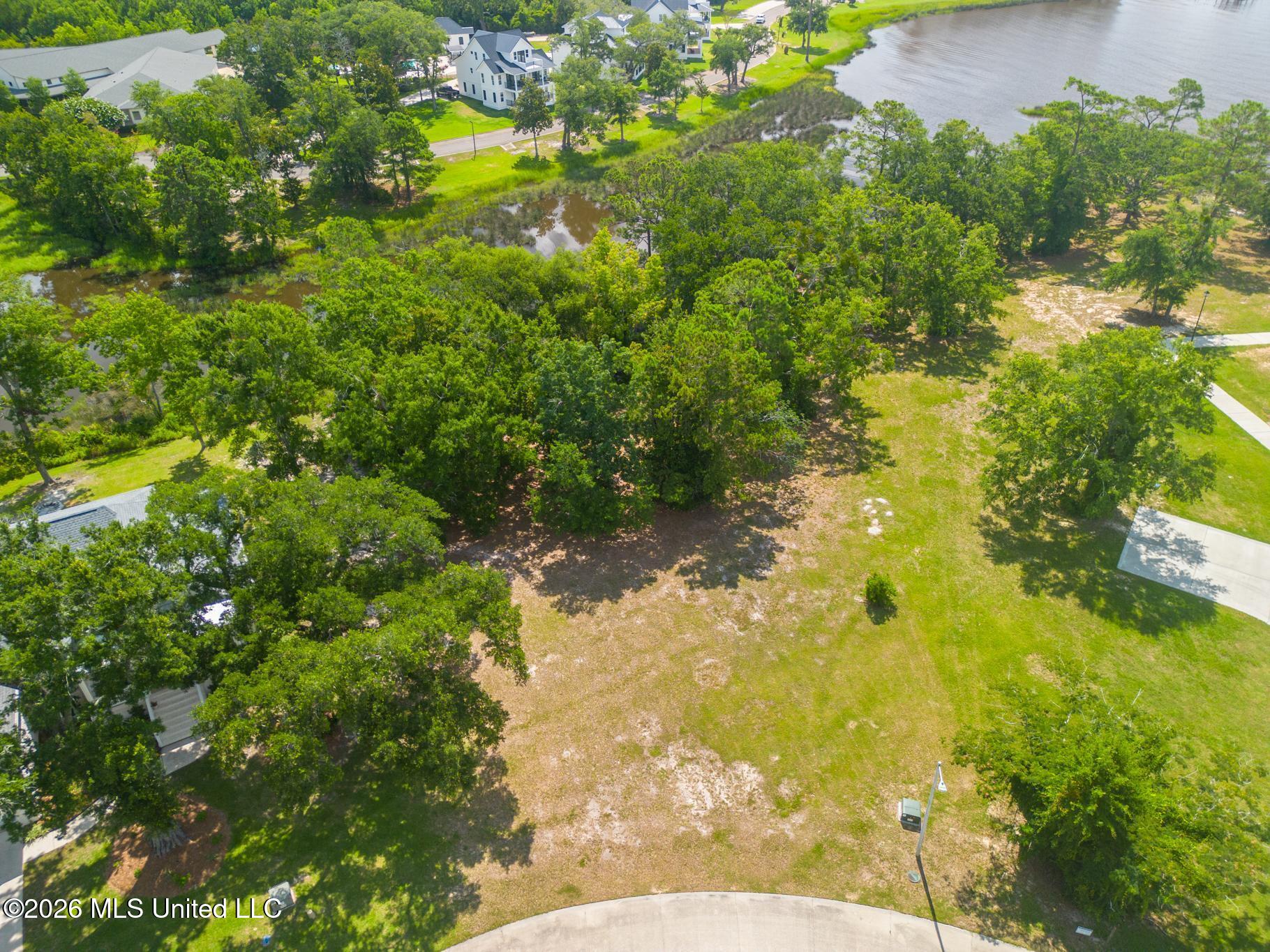 Savannah Estates Boulevard Property Photo 3