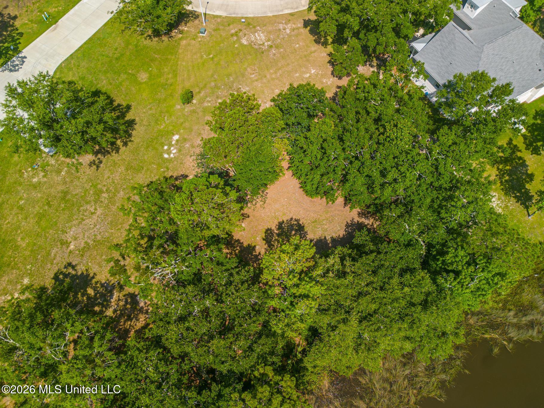 Savannah Estates Boulevard Property Photo 6