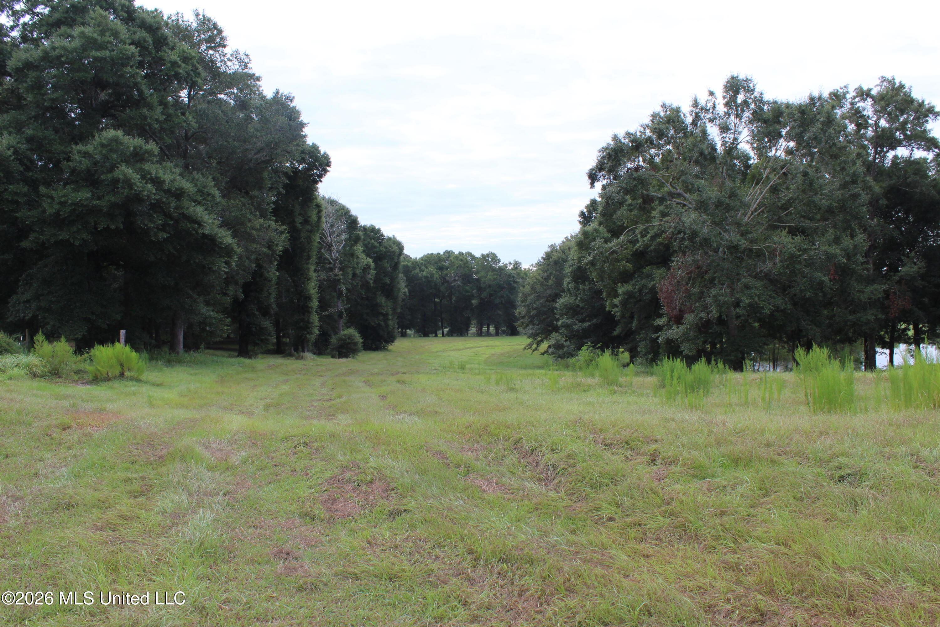 14.8 Acres Country Oak Circle Property Photo 6