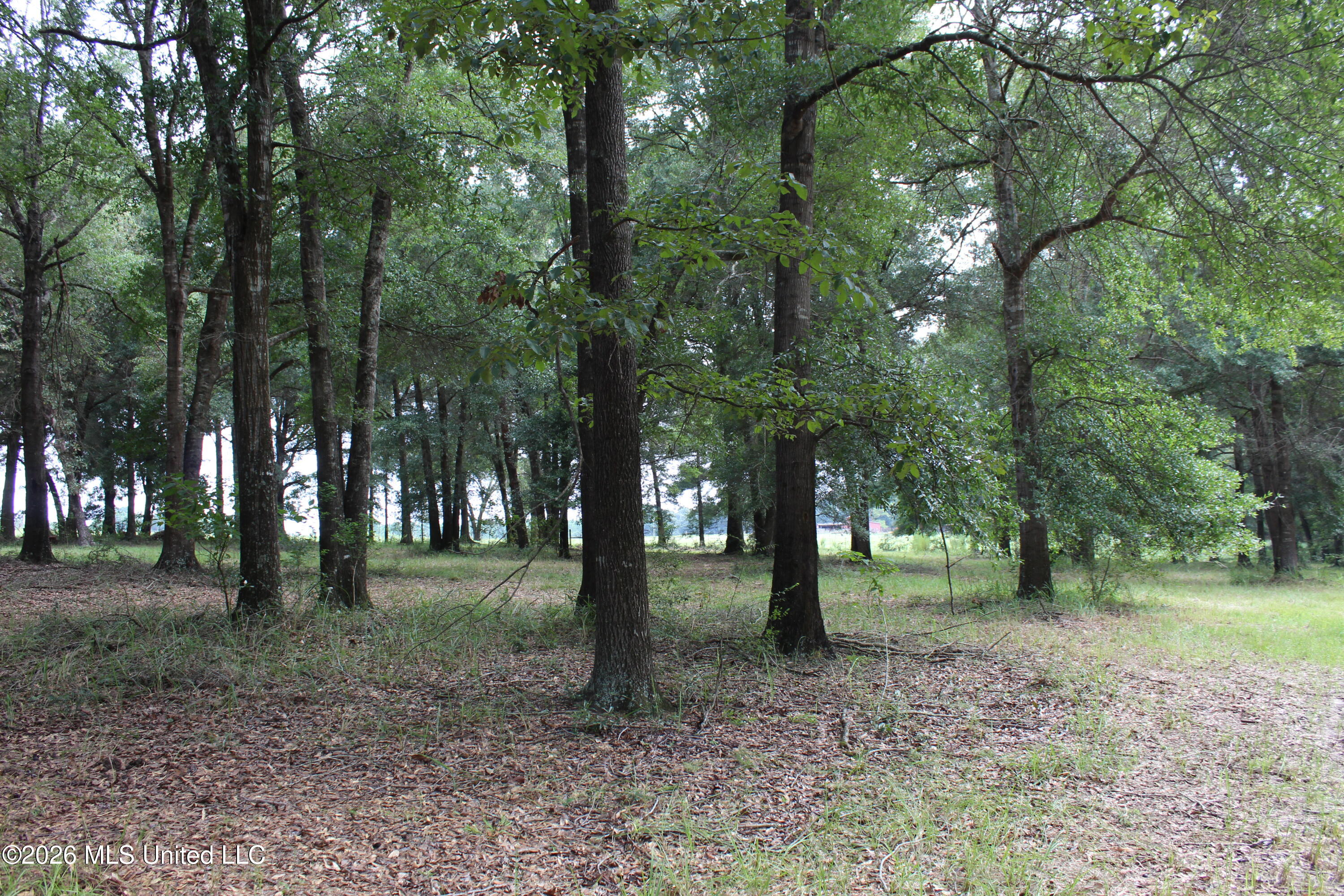 14.8 Acres Country Oak Circle Property Photo 19