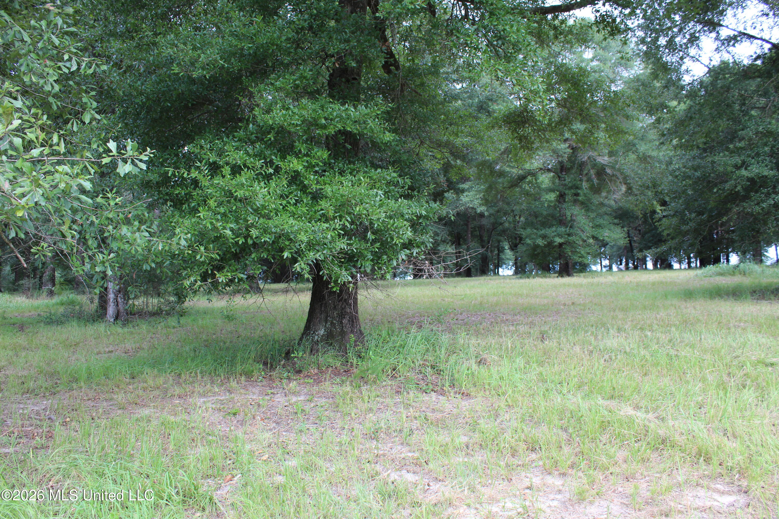14.8 Acres Country Oak Circle Property Photo 23