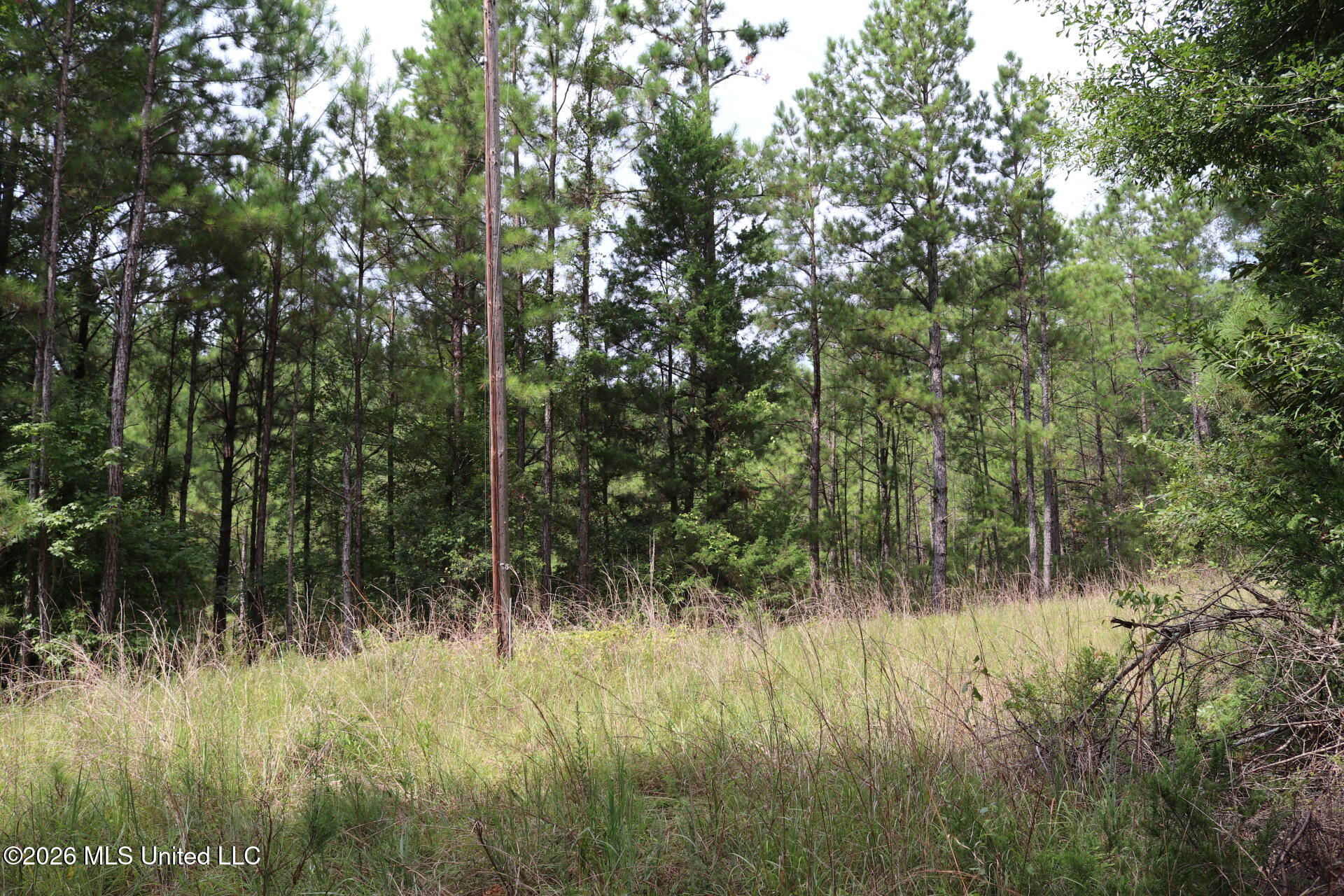 Sulphur Springs Road Property Photo 1